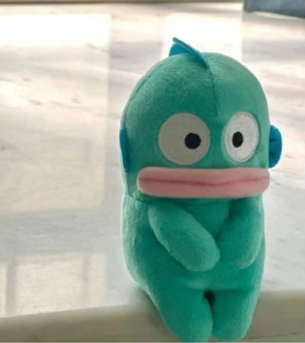 큐티뽀짝곤듀🎀님의 프로필 이미지