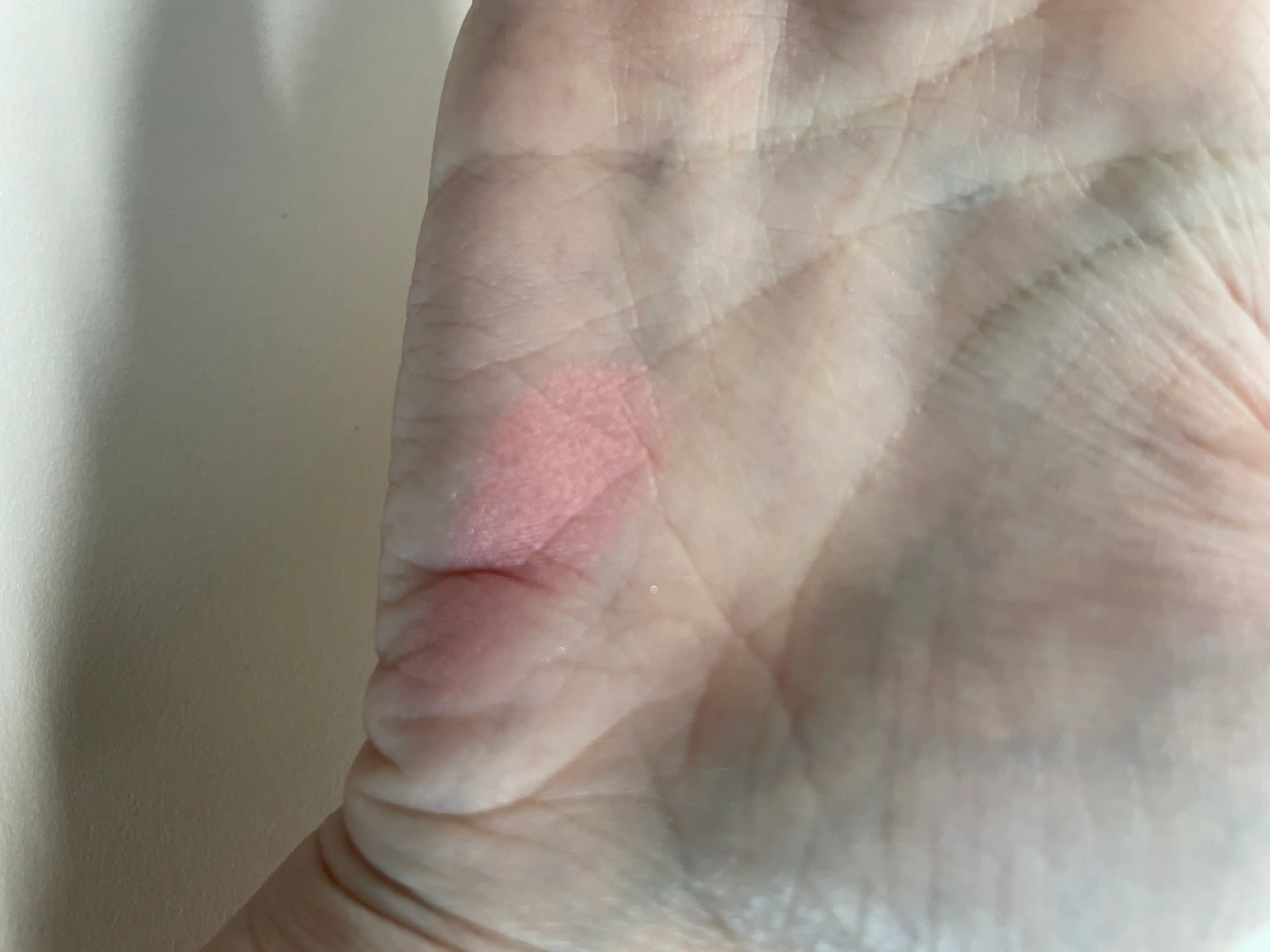 언니의파우치 리뷰 이미지 3 - [치크 팝 ]