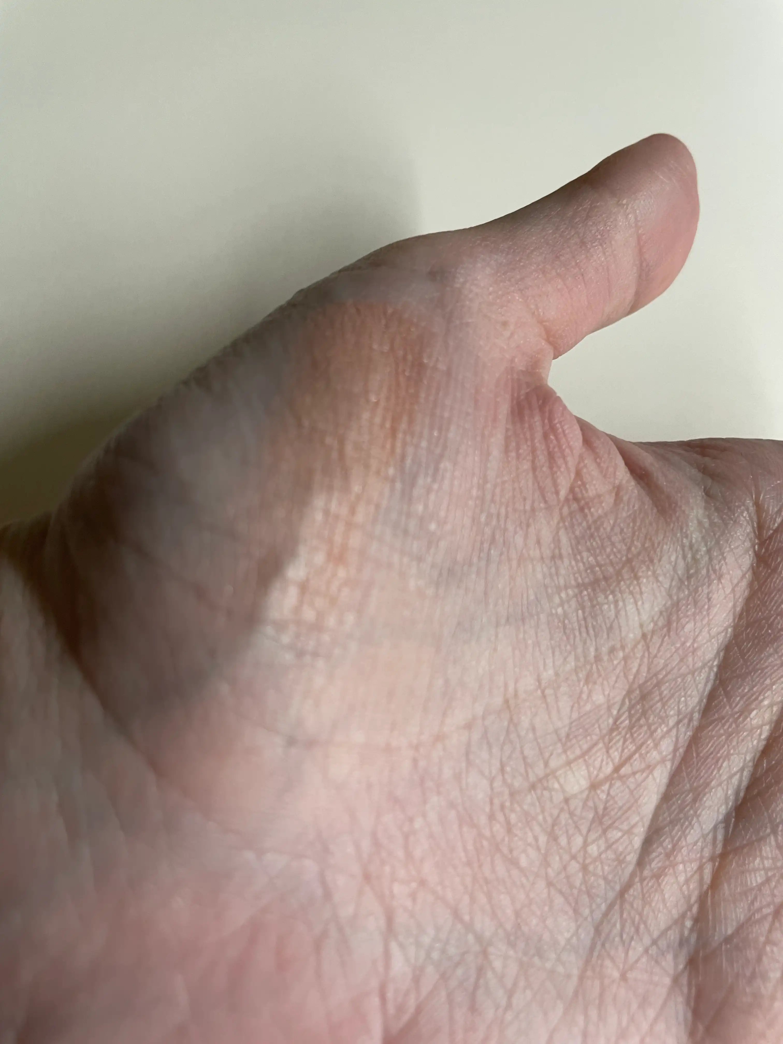 언니의파우치 리뷰 이미지 3 - [치크 팝 ]