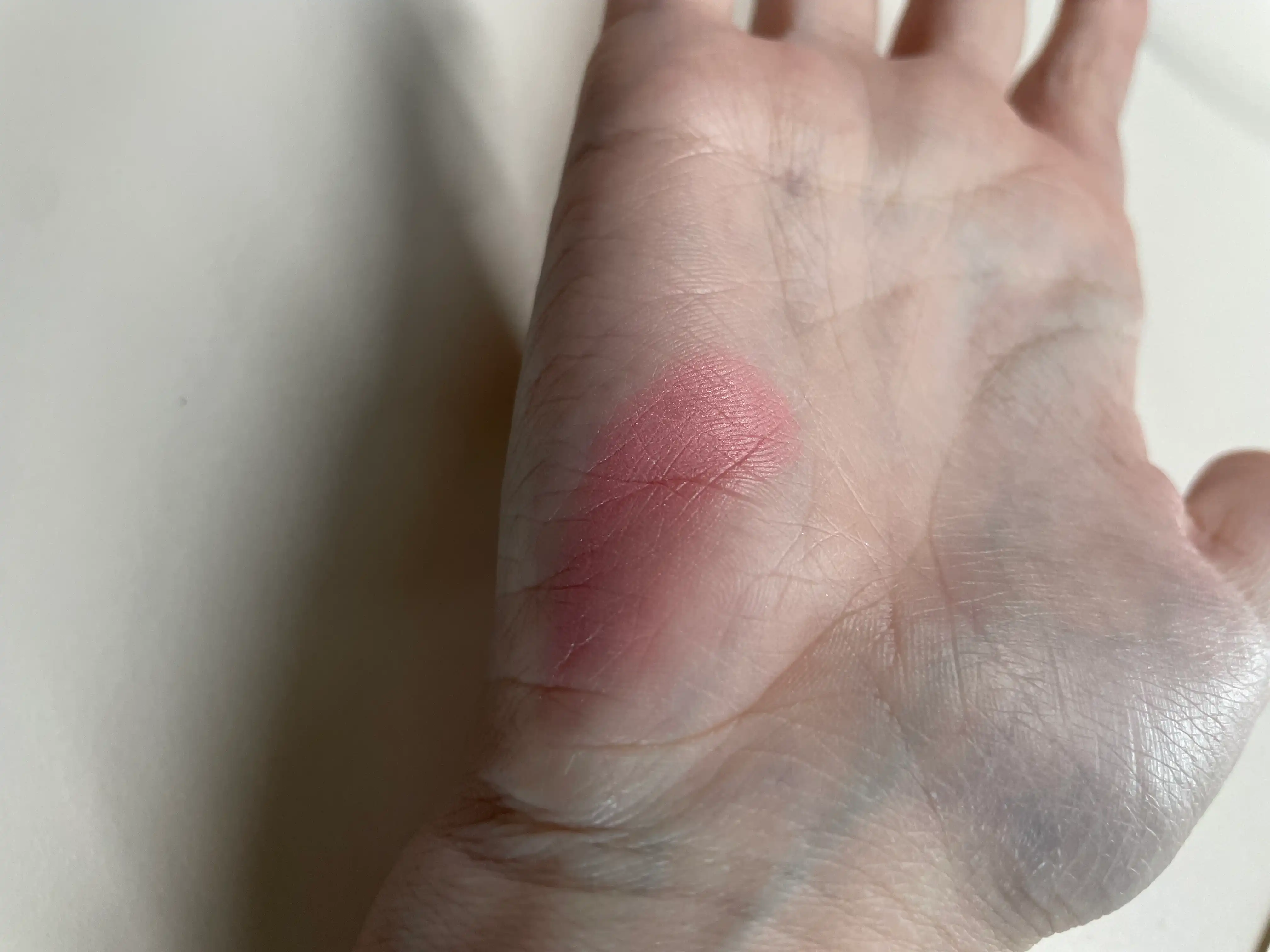 언니의파우치 리뷰 이미지 3 - [치크 팝 ]