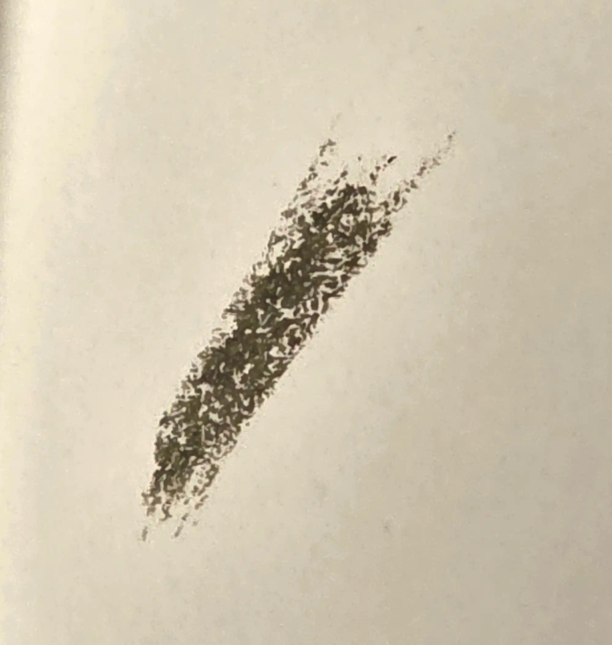 언니의파우치 리뷰 이미지 4 - [단테 샤프너블 브로우 펜슬]