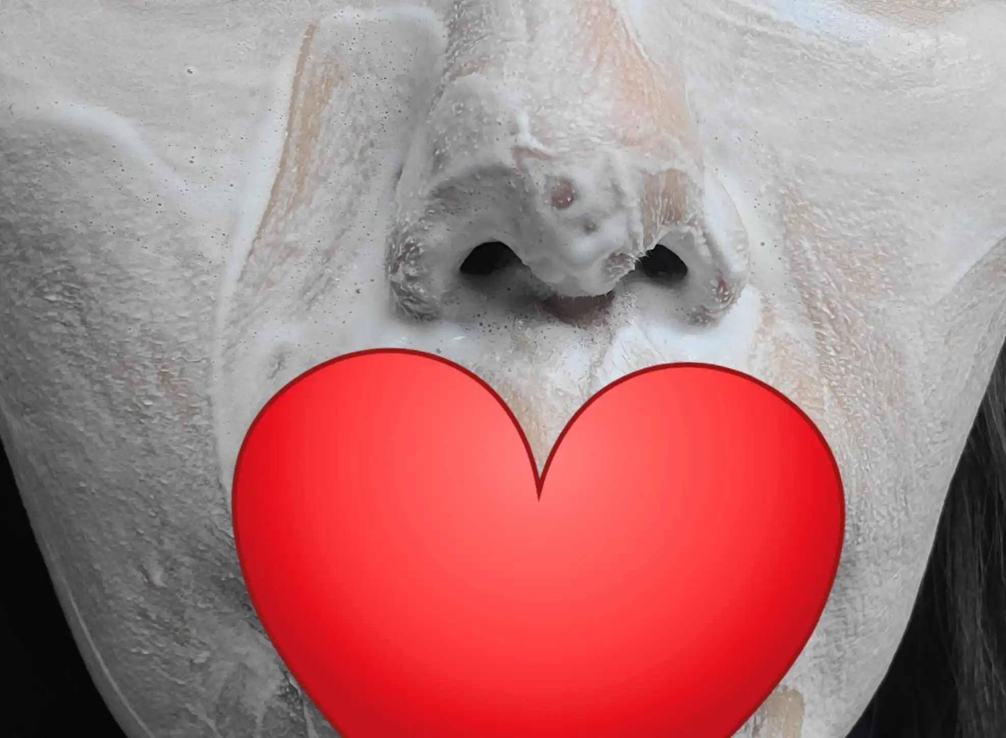 언니의파우치 리뷰 이미지 3 - [퍼펙트 휩 페이셜 워시]