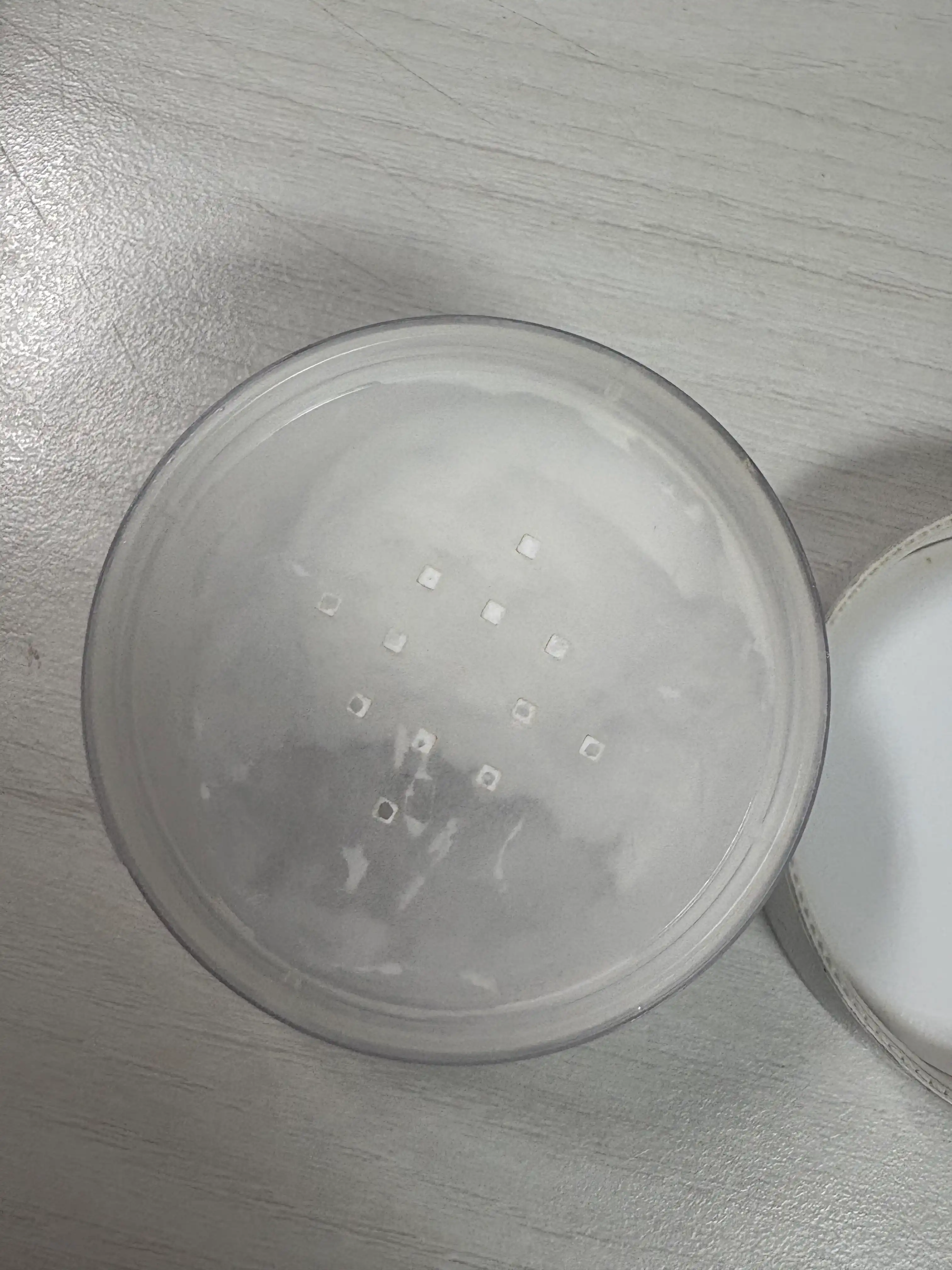 언니의파우치 리뷰 이미지 2 - [프라임 프라이머 피니쉬 파우더]