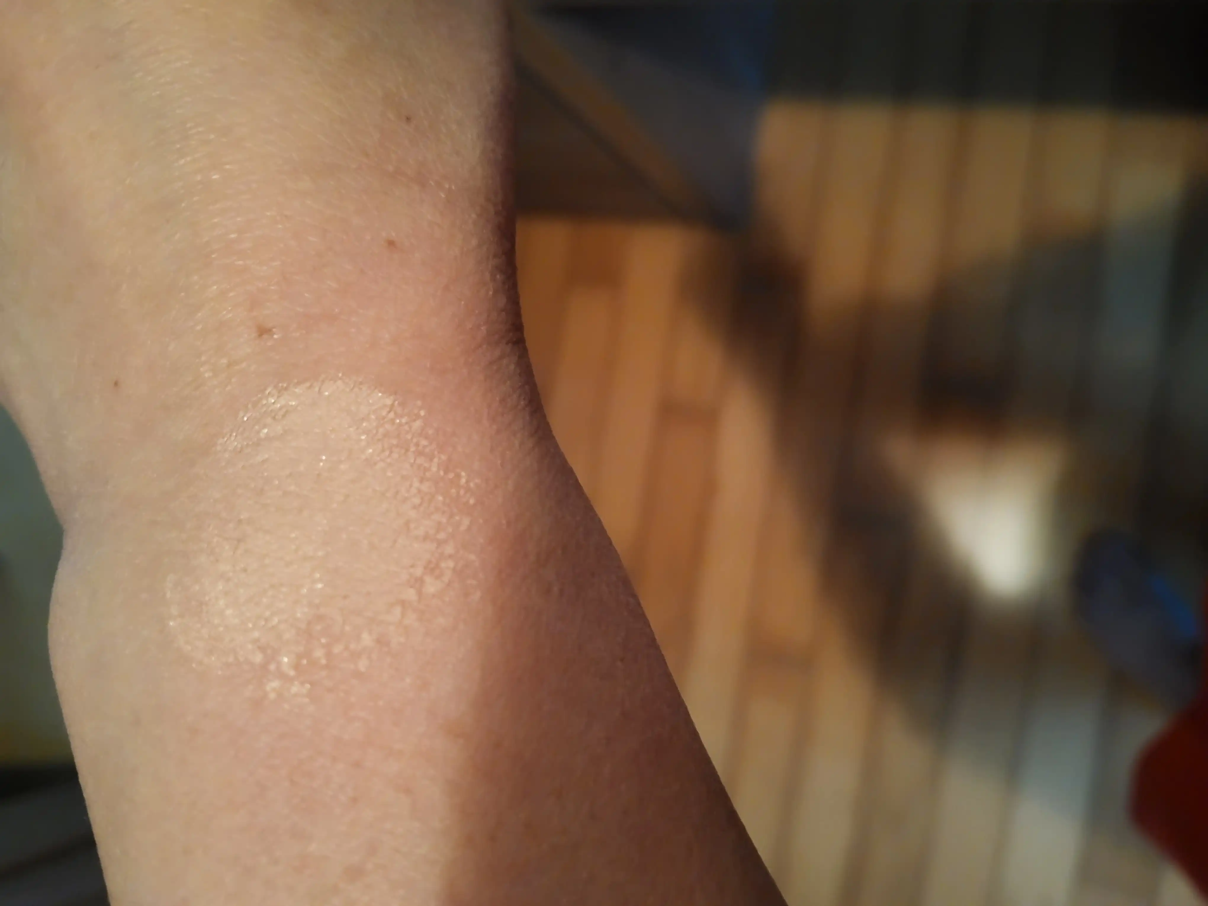 언니의파우치 리뷰 이미지 4 - [워터벨벳 쿠션 팩트]