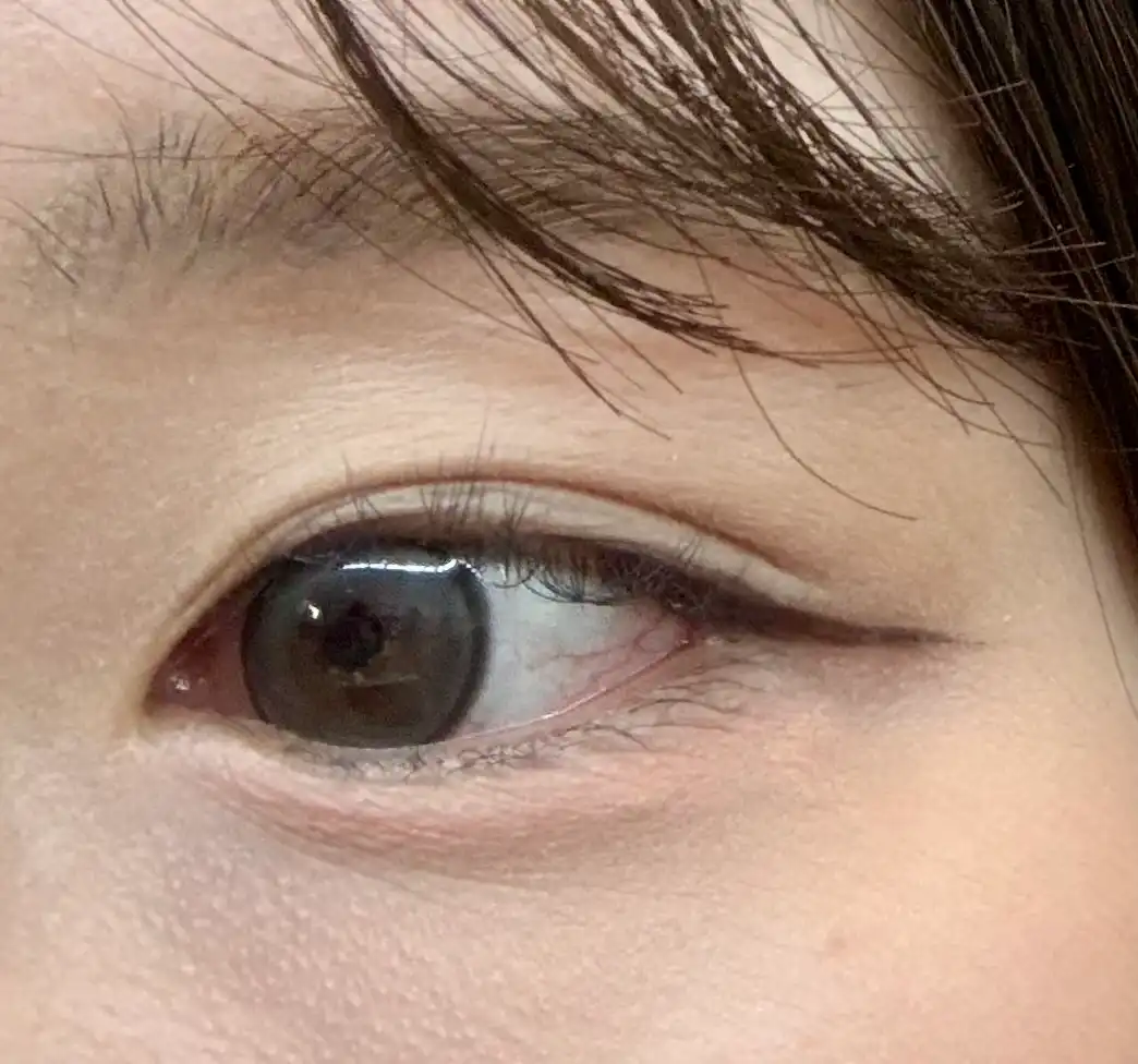 라스트 파우더 펜슬