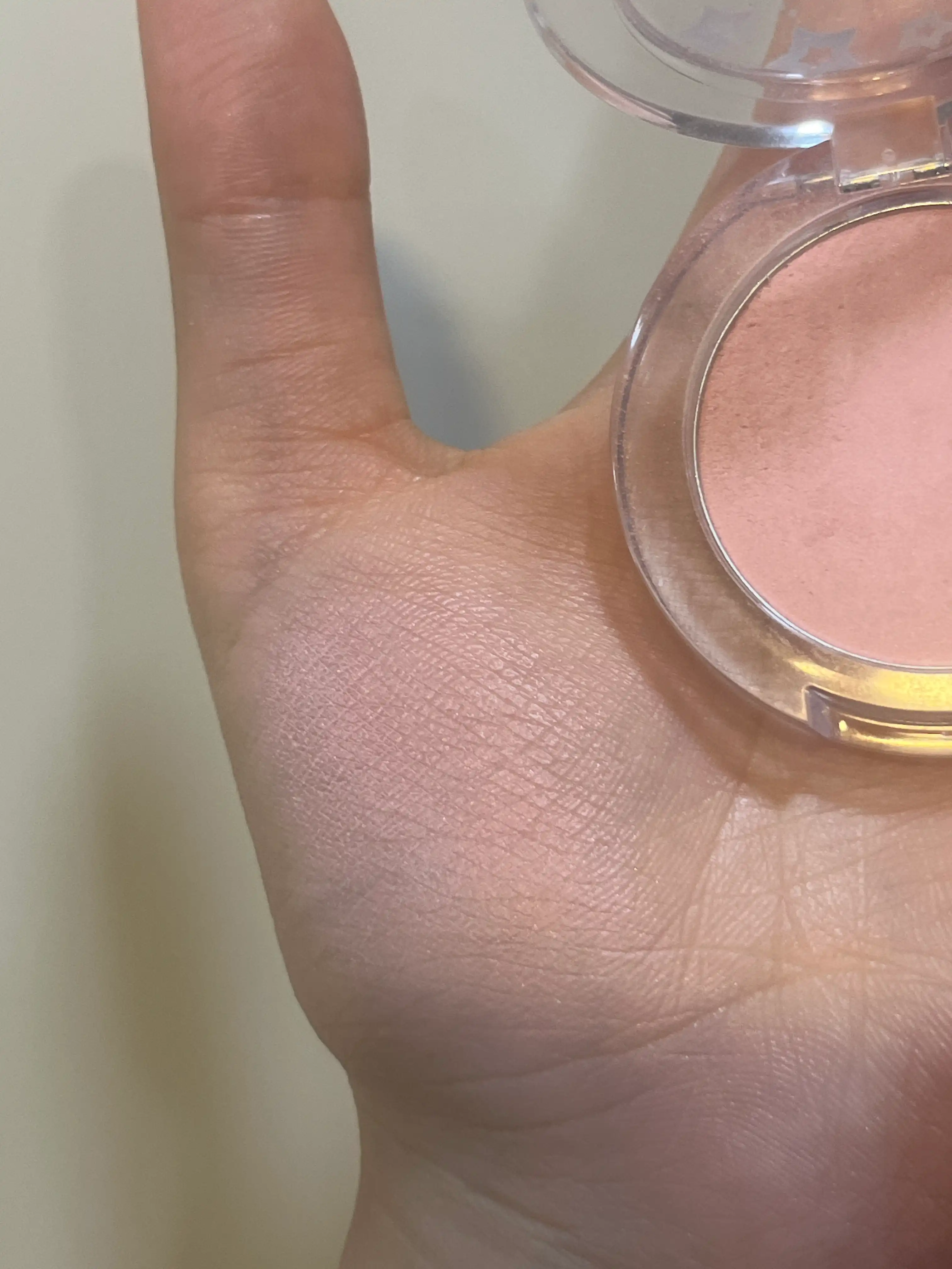 언니의파우치 리뷰 이미지 3 - [(네이밍X허자보이에이씨씨) 플러피 파우더 블러쉬]