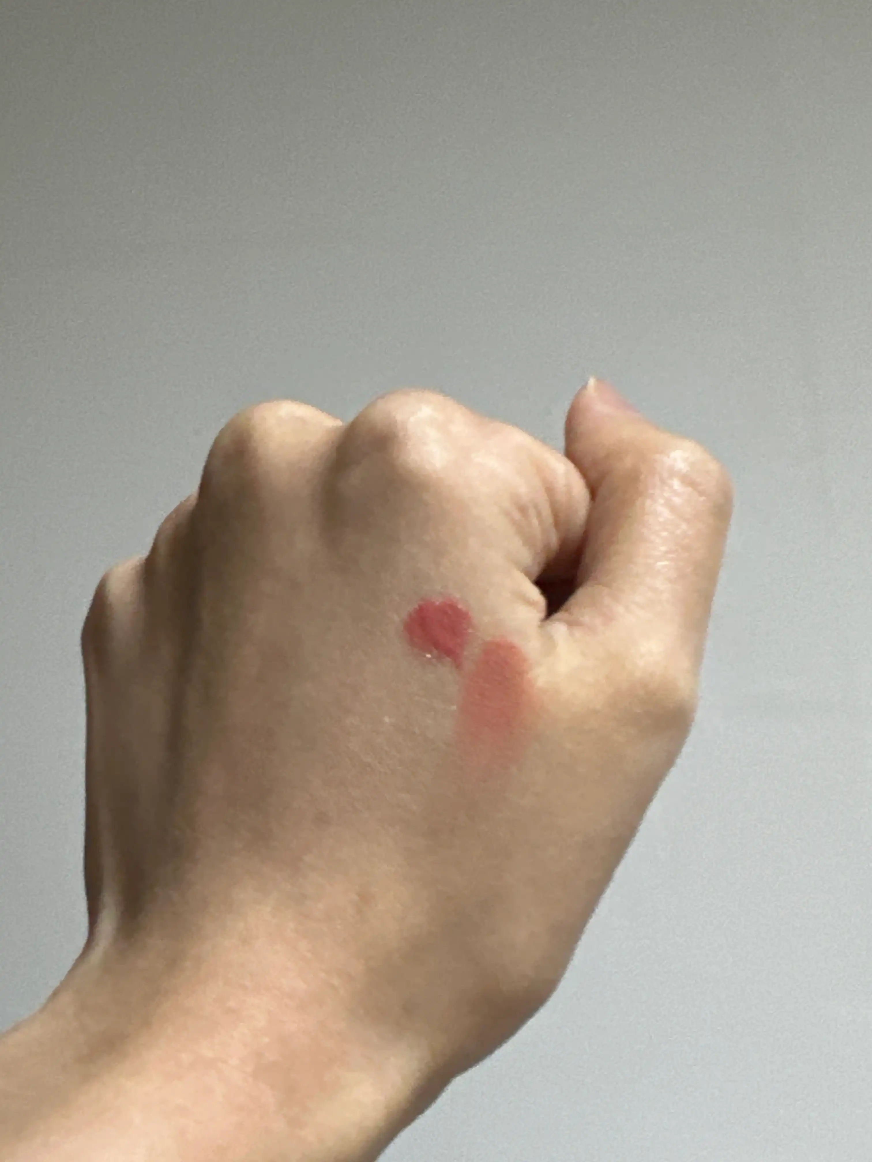 언니의파우치 리뷰 이미지 2 - [치크톤 립앤치크 듀오밤]