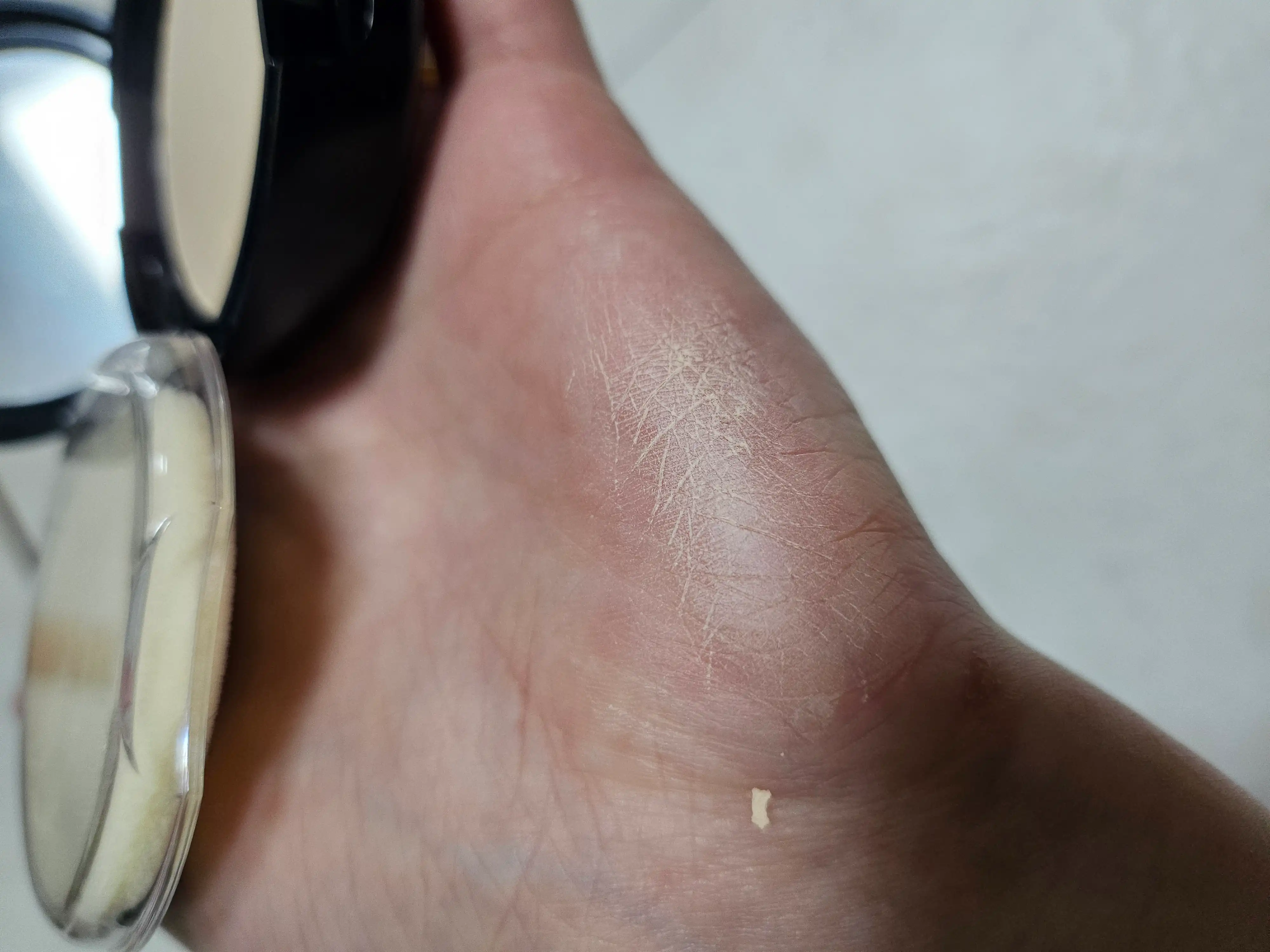 언니의파우치 리뷰 이미지 7 - [블러 파우더 팩트]