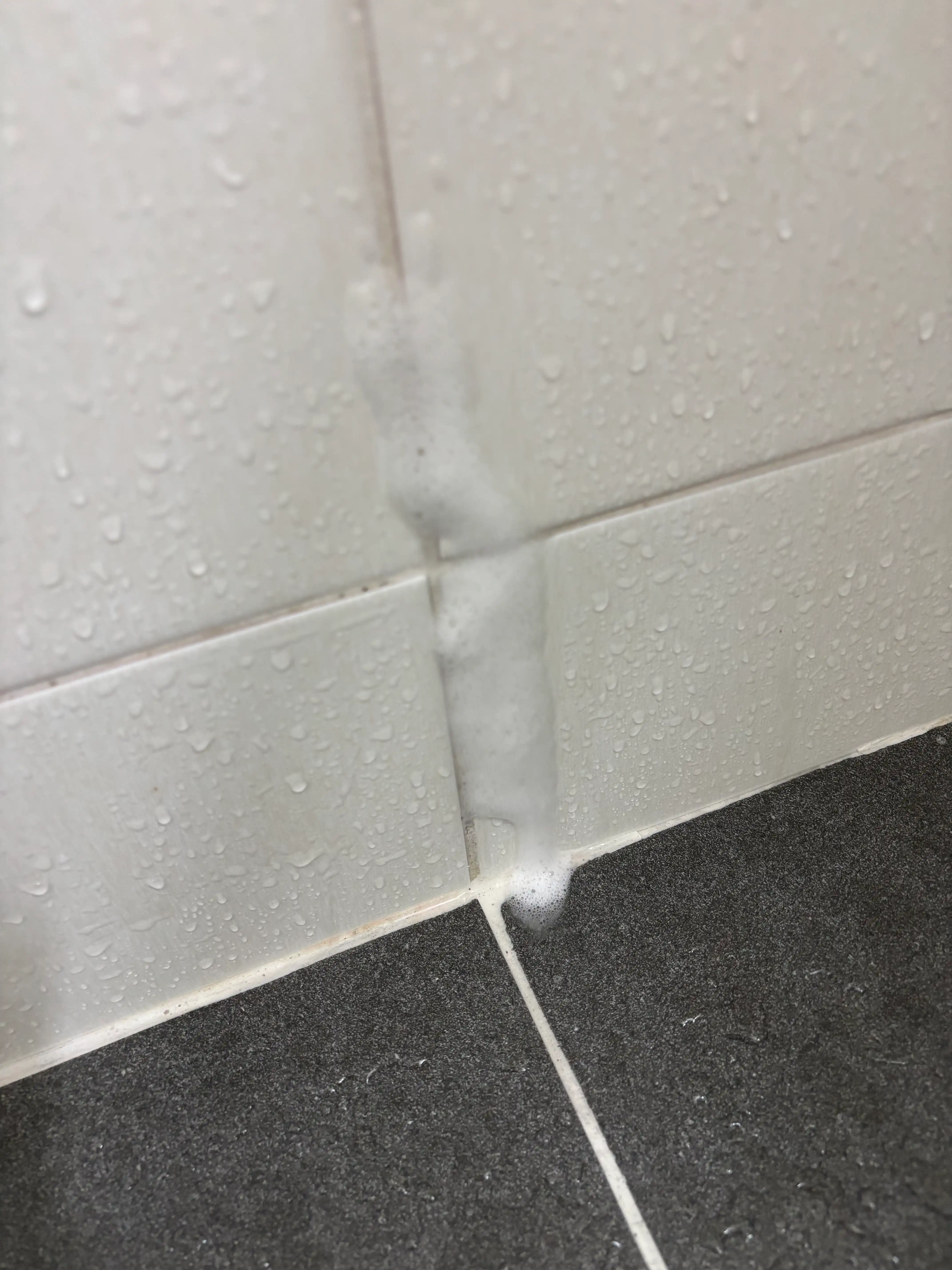 언니의파우치 리뷰 이미지 2 - [발을씻자 코튼 풋샴푸 [자몽]]