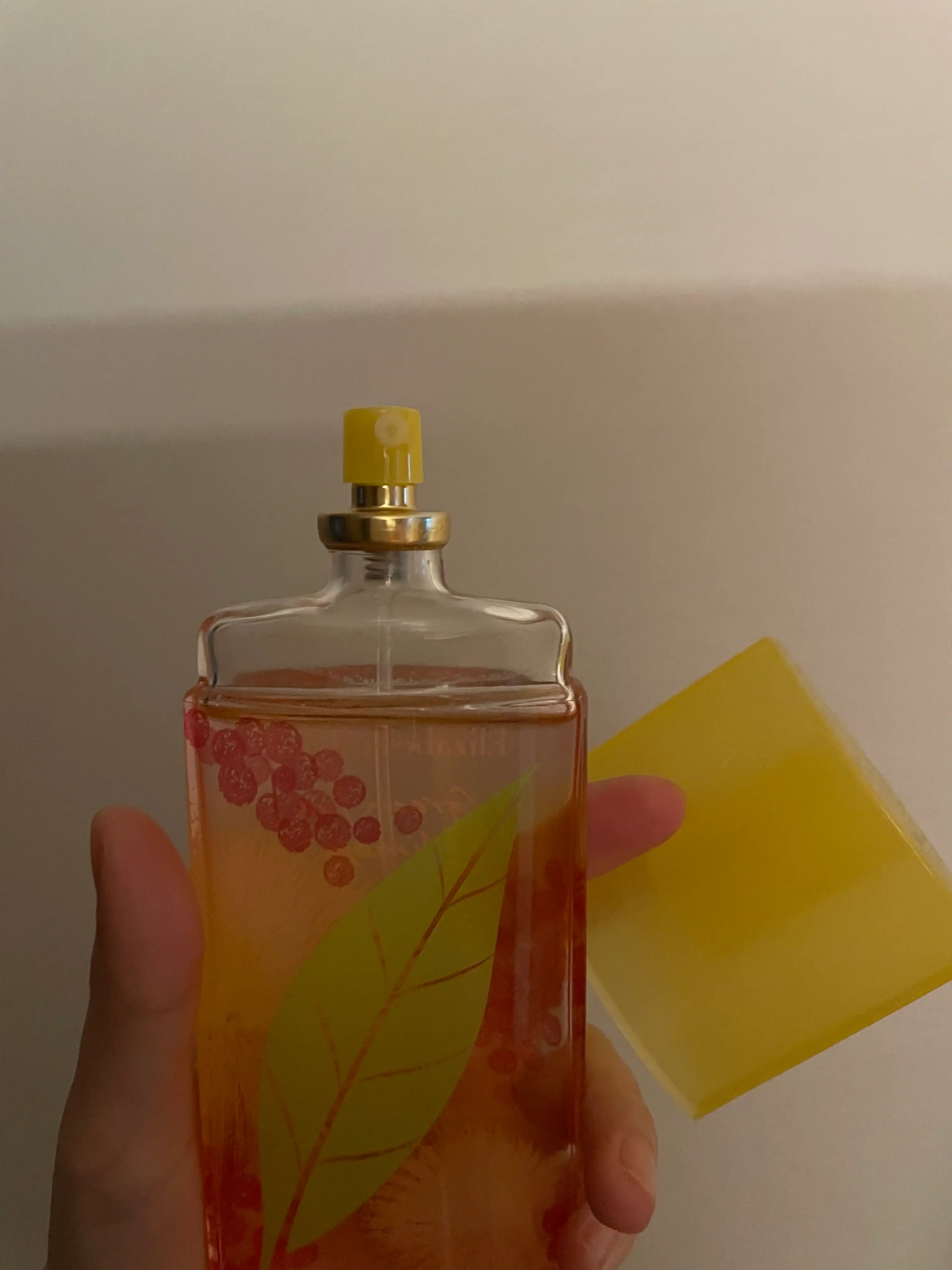 언니의파우치 리뷰 이미지 2 - [그린티 미모사 EDT]