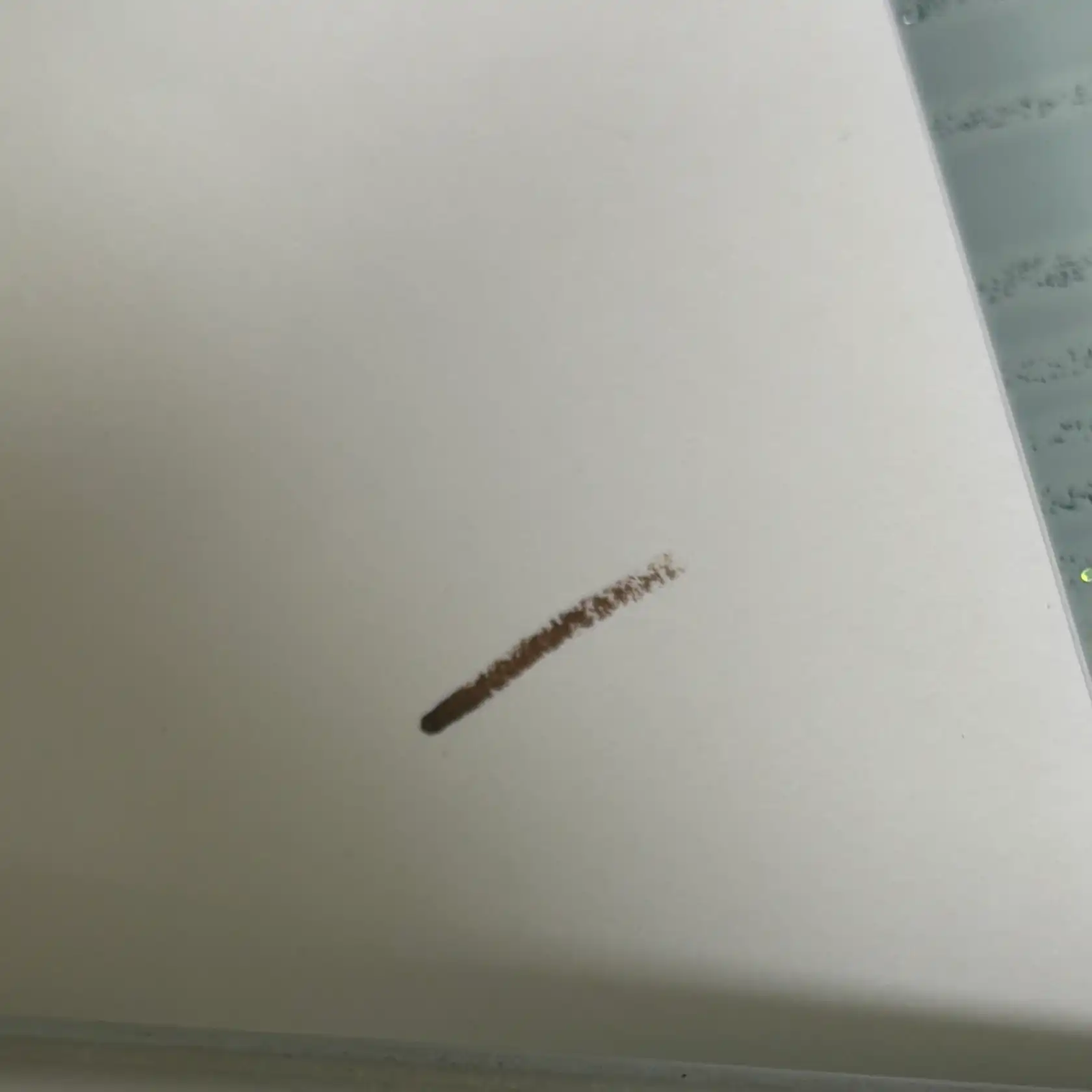 언니의파우치 리뷰 이미지 2 - [샤프 쏘 심플 워터프루프 펜슬라이너]