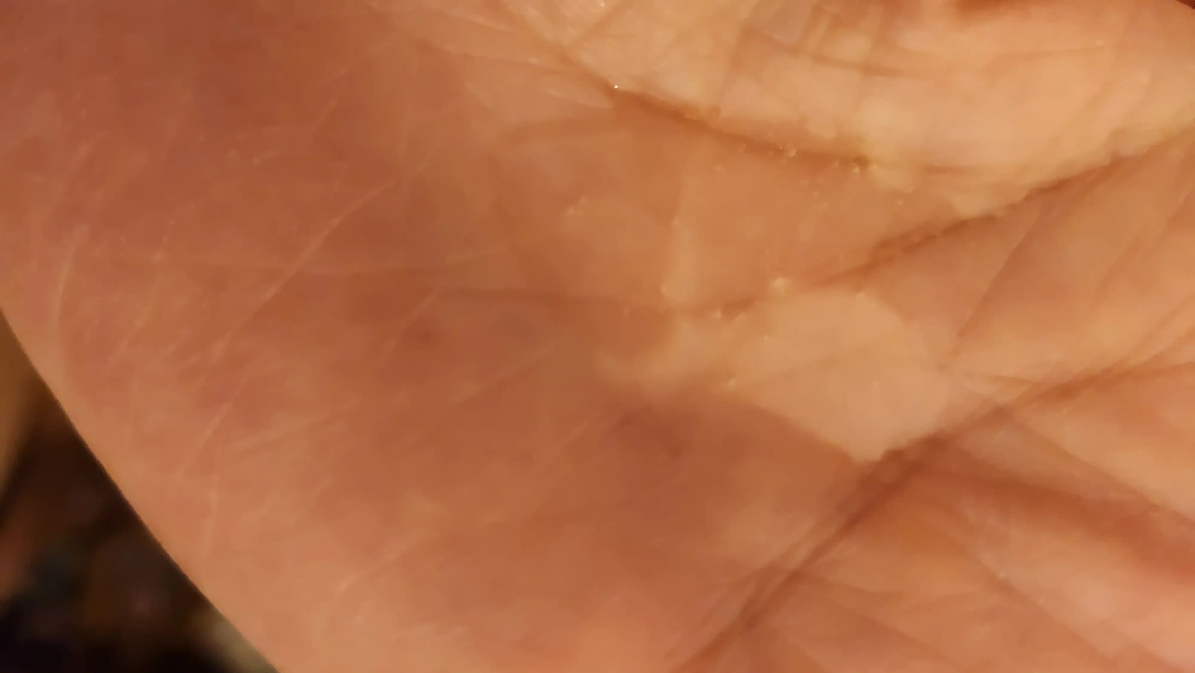 언니의파우치 리뷰 이미지 2 - [딥클린 카놀라 클렌징 오일]