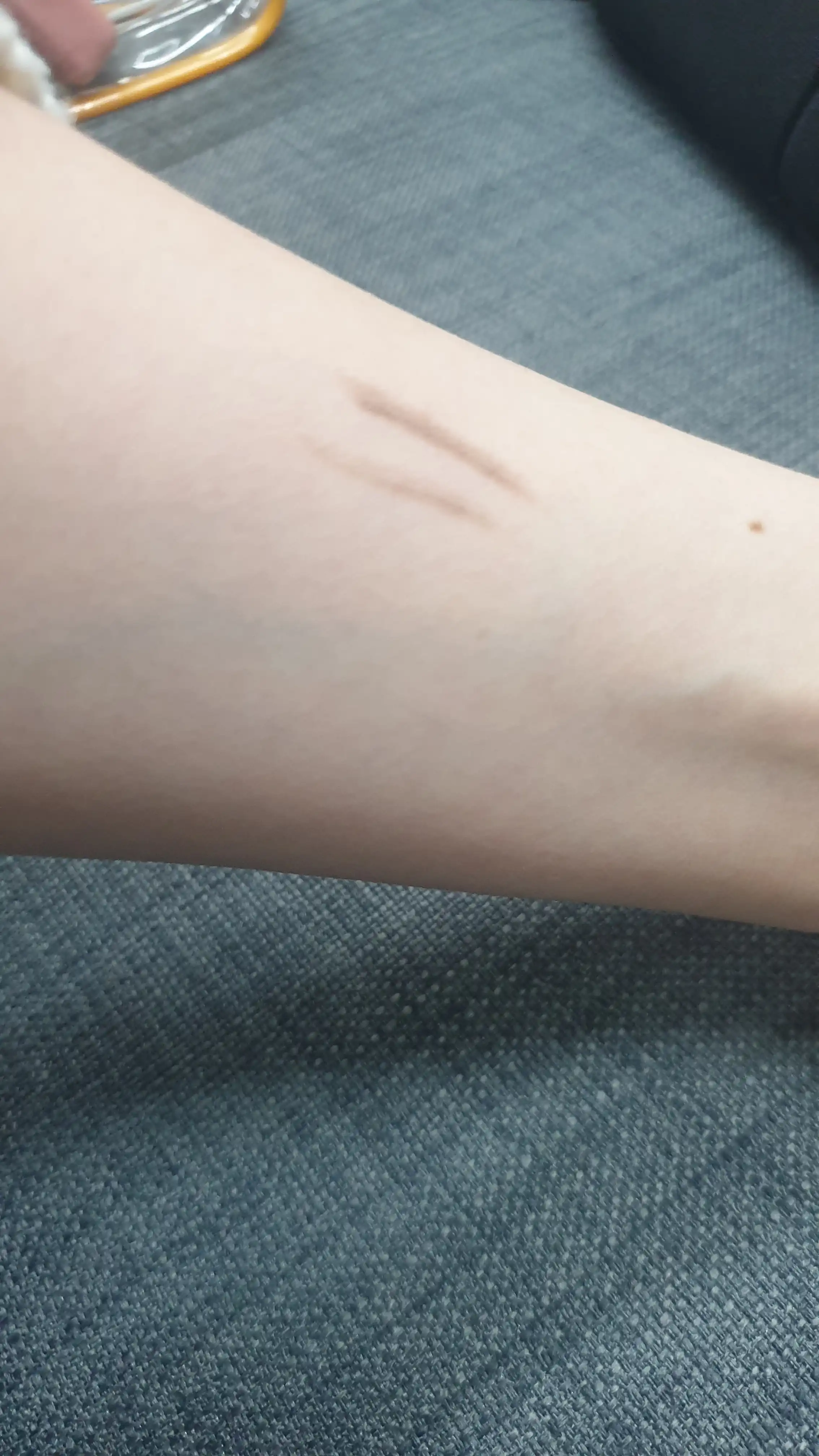 언니의파우치 리뷰 이미지 3 - [드로잉 아이브로우]