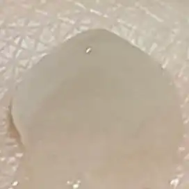 언니의파우치 리뷰 이미지 2 - [립테라피 오리지널(Jar)]