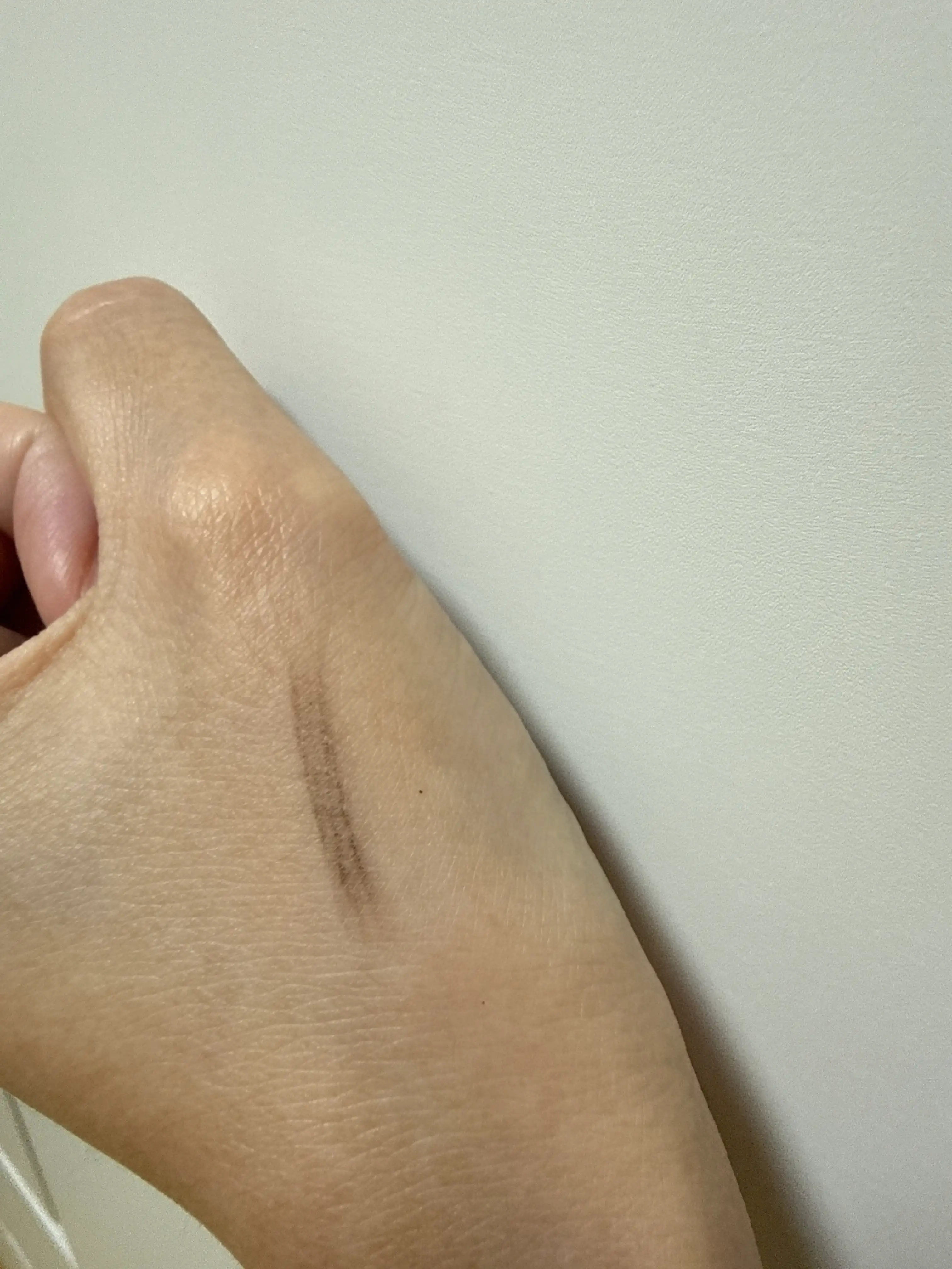 언니의파우치 리뷰 이미지 3 - [퍼펙트 아이브로우 스타일러]