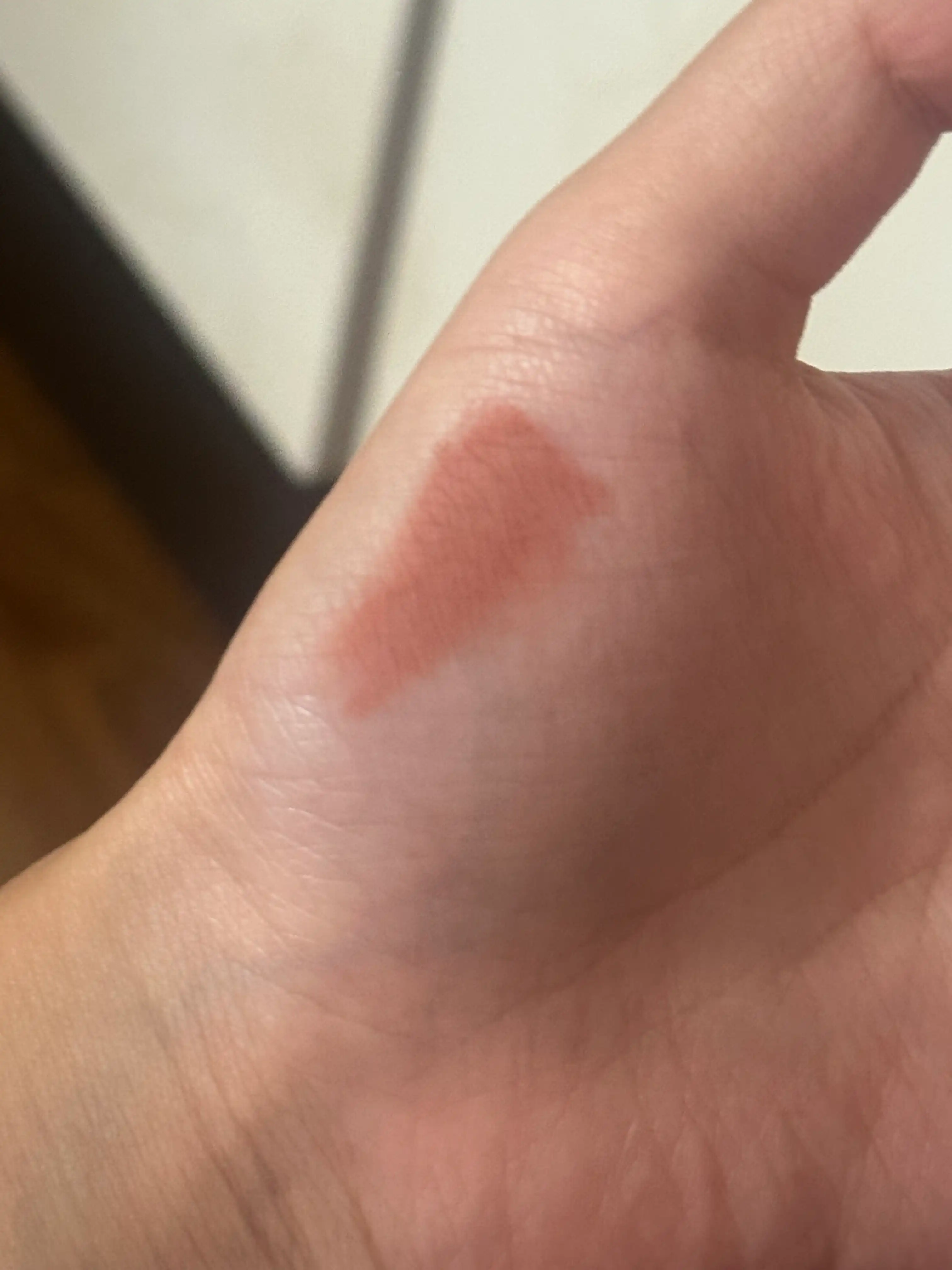 언니의파우치 리뷰 이미지 2 - [누디 블러 틴트]