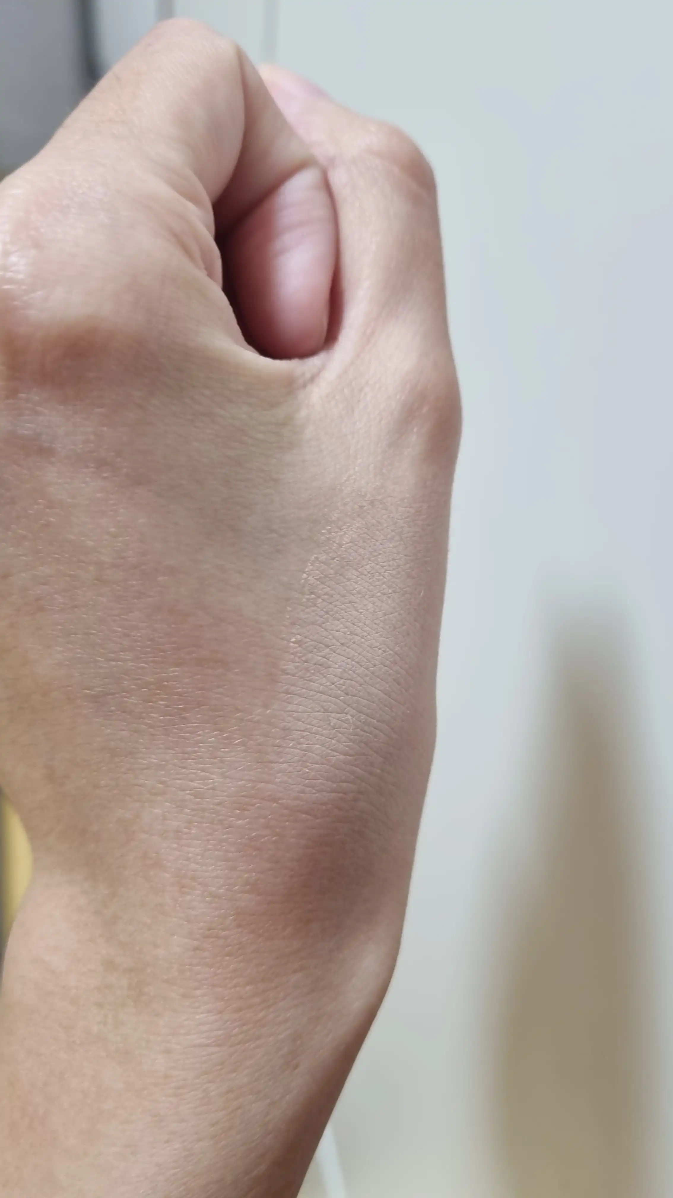 언니의파우치 리뷰 이미지 2 - [벨벳 커버 쿠션]