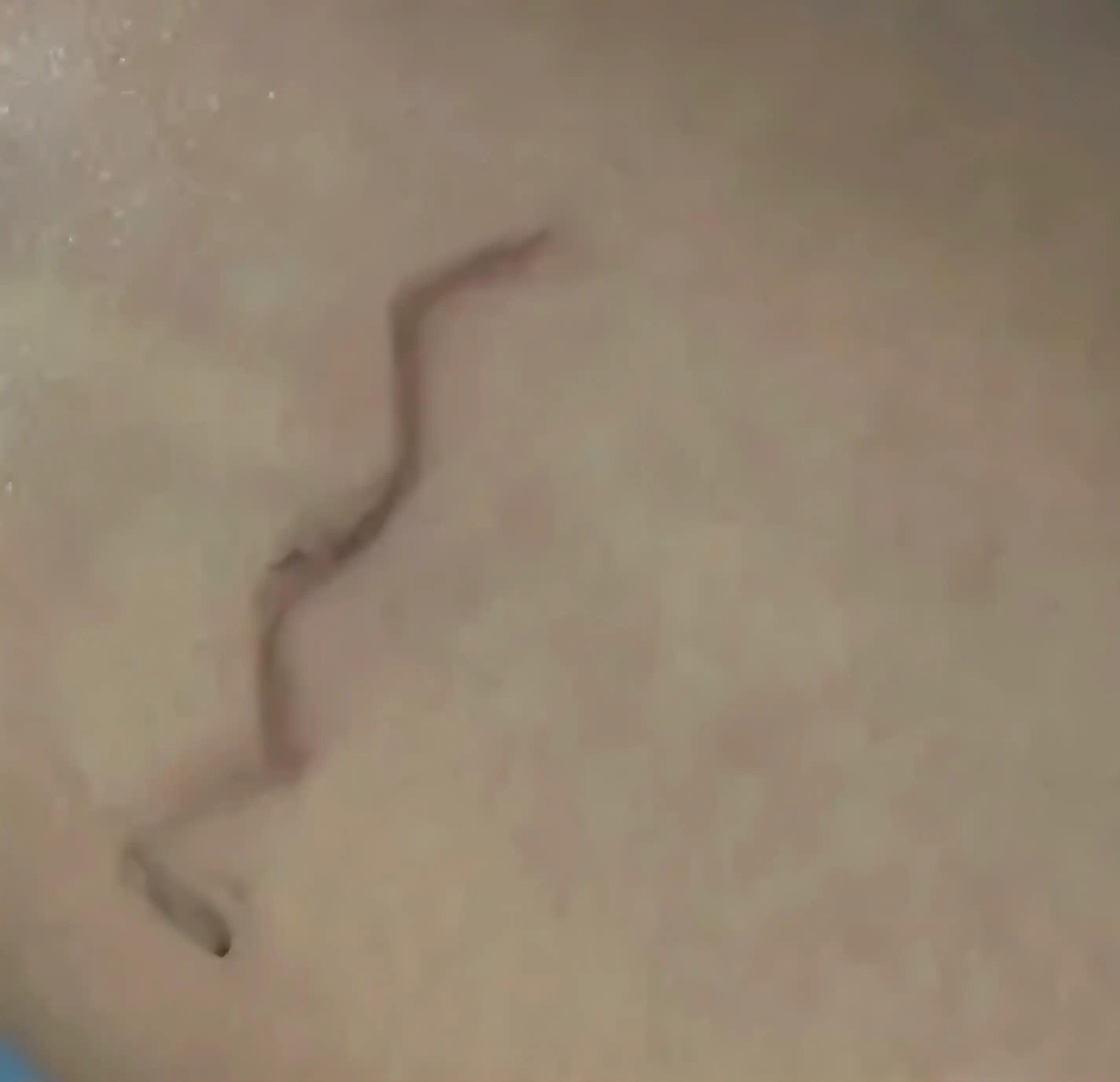 언니의파우치 리뷰 이미지 3 - [더 브로우 밸런스 펜슬]