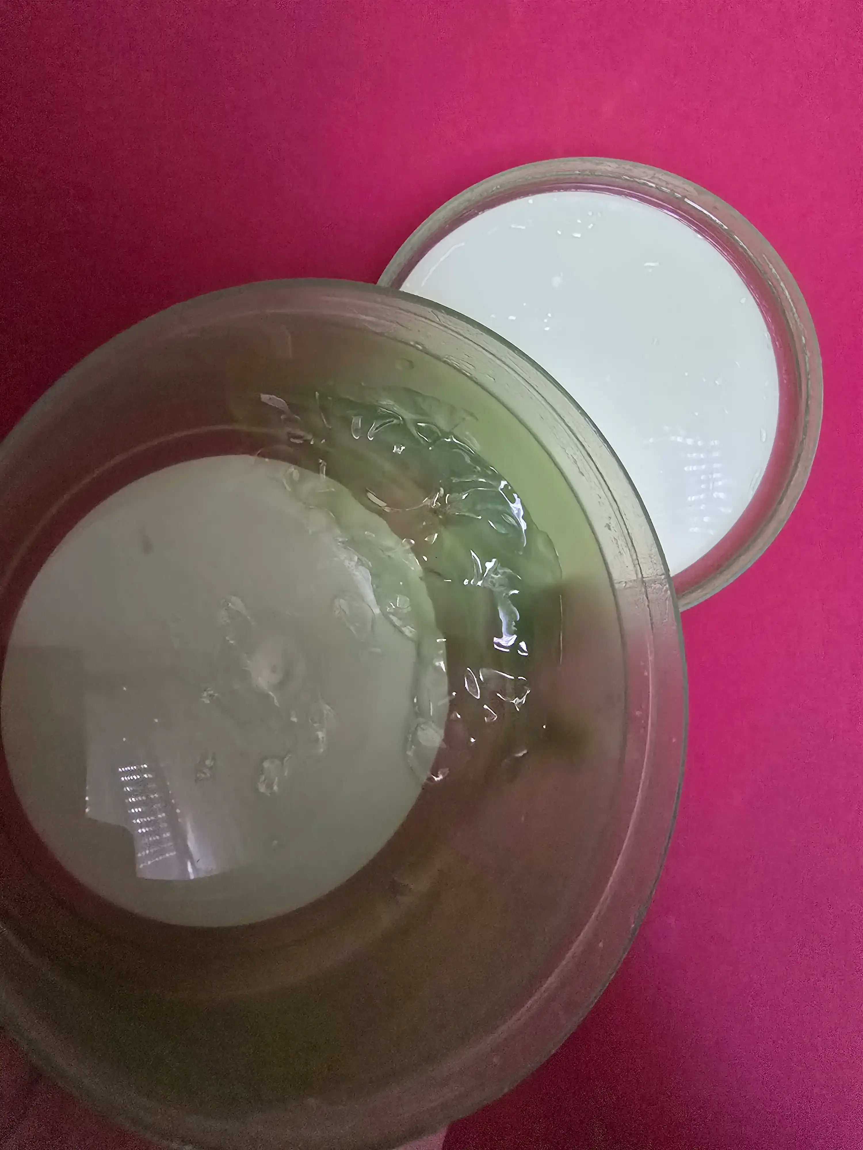 언니의파우치 리뷰 이미지 2 - [리얼 알로에 베라 100프로 수딩젤]