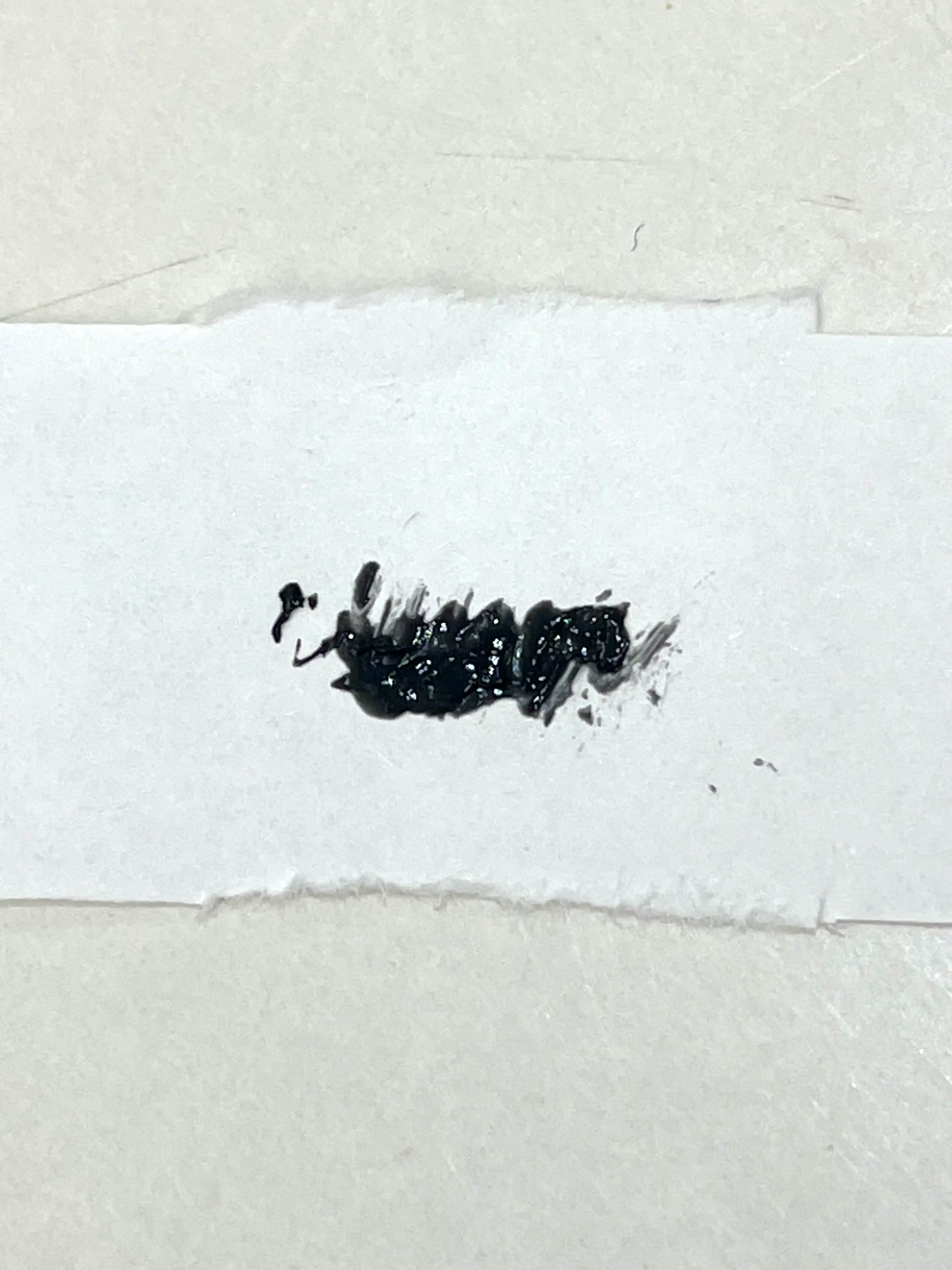 언니의파우치 리뷰 이미지 2 - [컬 픽스 마스카라]