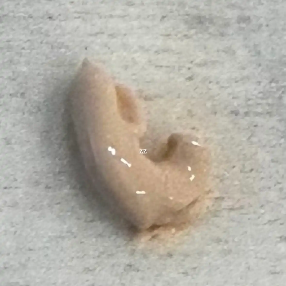 언니의파우치 리뷰 이미지 2 - [자작나무 수분 톤업 선크림]