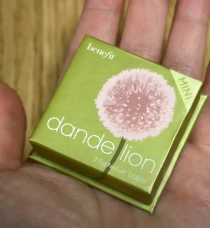 언니의파우치 리뷰 이미지 - [원더풀 월드 블러쉬 단델리온]