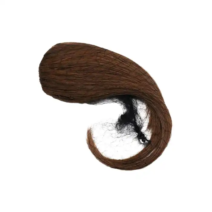 시스루뱅 테일 앞머리 가발 브라운