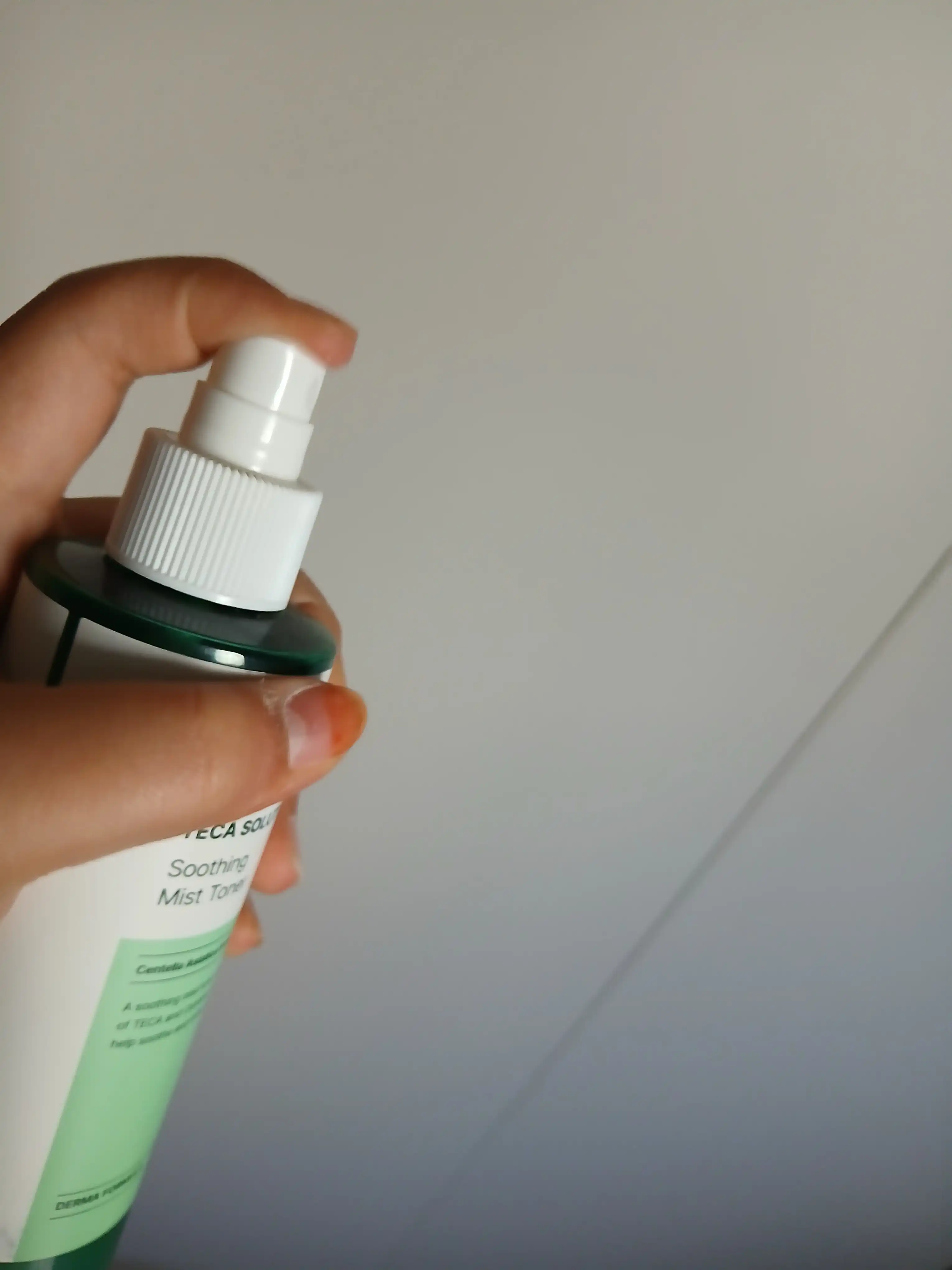 언니의파우치 리뷰 이미지 3 - [테카 솔루션 수딩 미스트 토너]