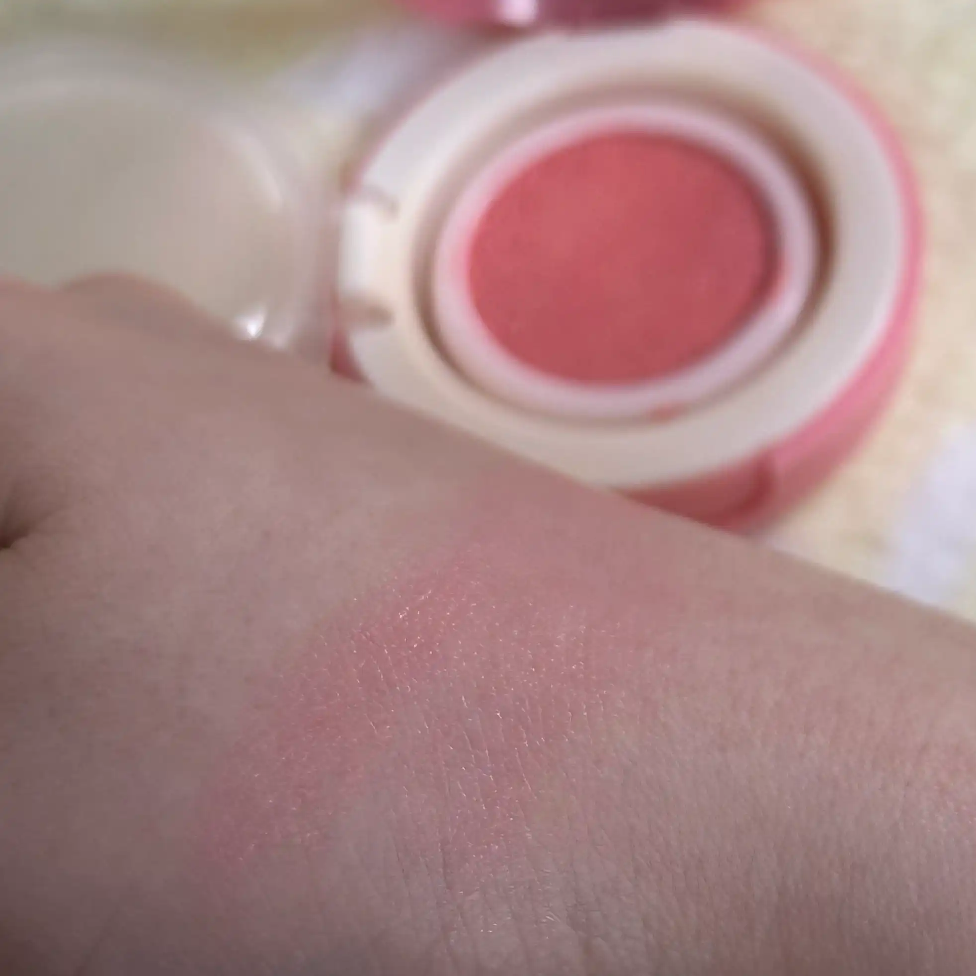 언니의파우치 리뷰 이미지 3 - [퍼스널 톤 쿠션 블러셔]