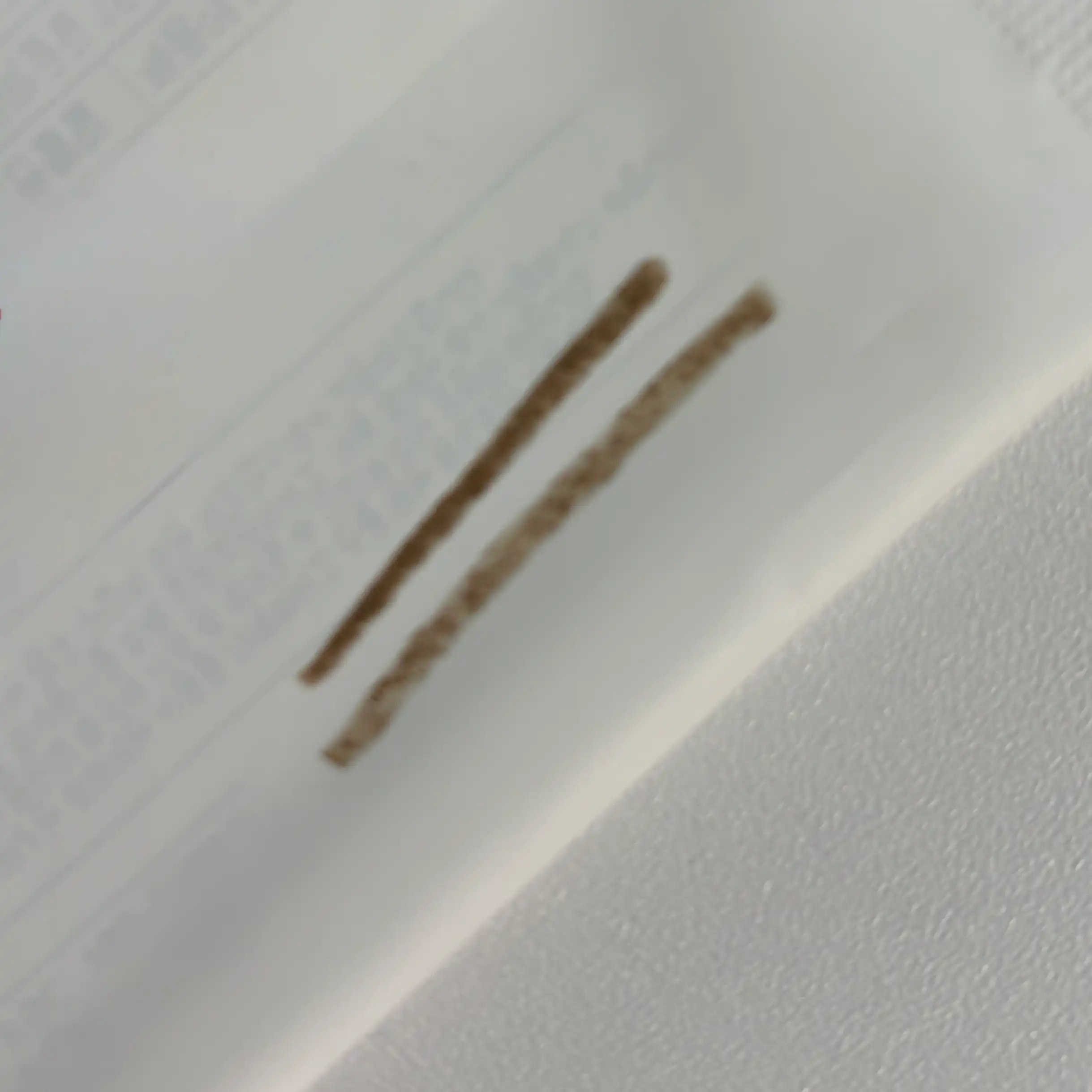 언니의파우치 리뷰 이미지 2 - [단테 샤프너블 브로우 펜슬]