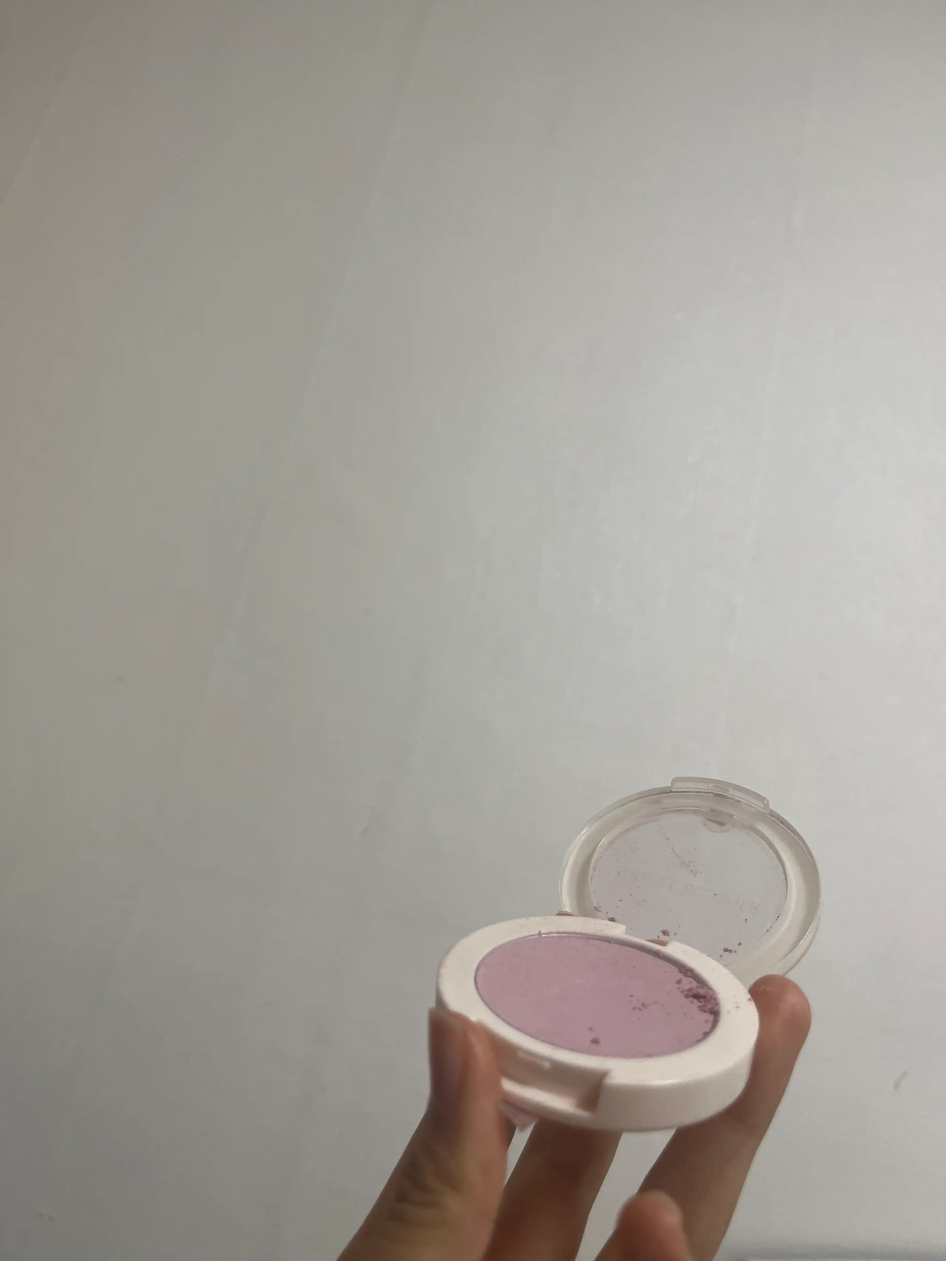 언니의파우치 리뷰 이미지 2 - [샘물 싱글 블러셔]