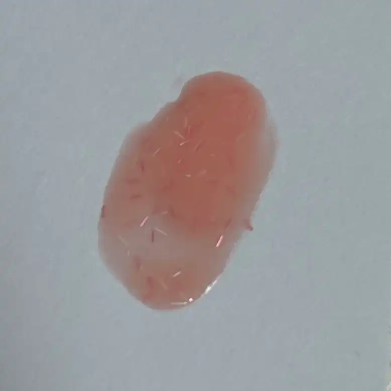 언니의파우치 리뷰 이미지 3 - [링링 아트 네일 앙고라]