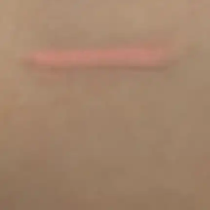 언니의파우치 리뷰 이미지 3 - [아이 실러 스틱]