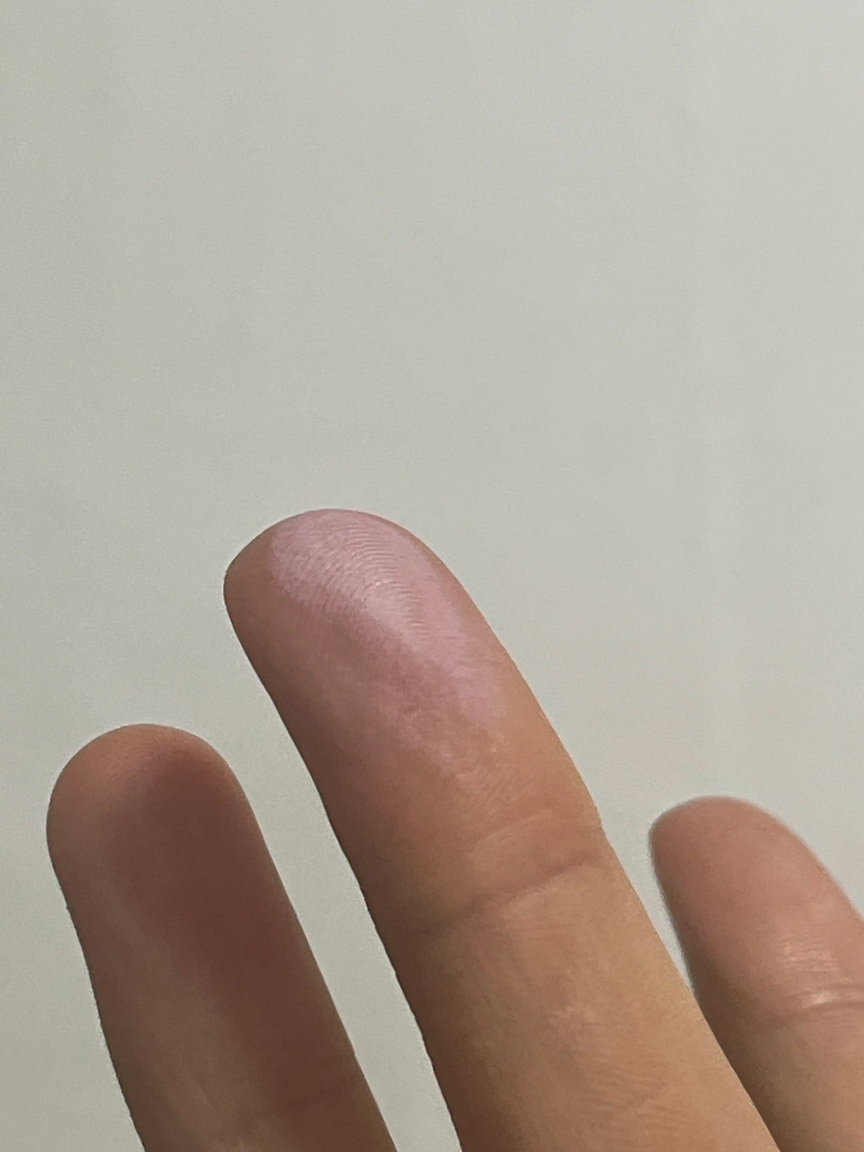 언니의파우치 리뷰 이미지 3 - [샘물 싱글 블러셔]