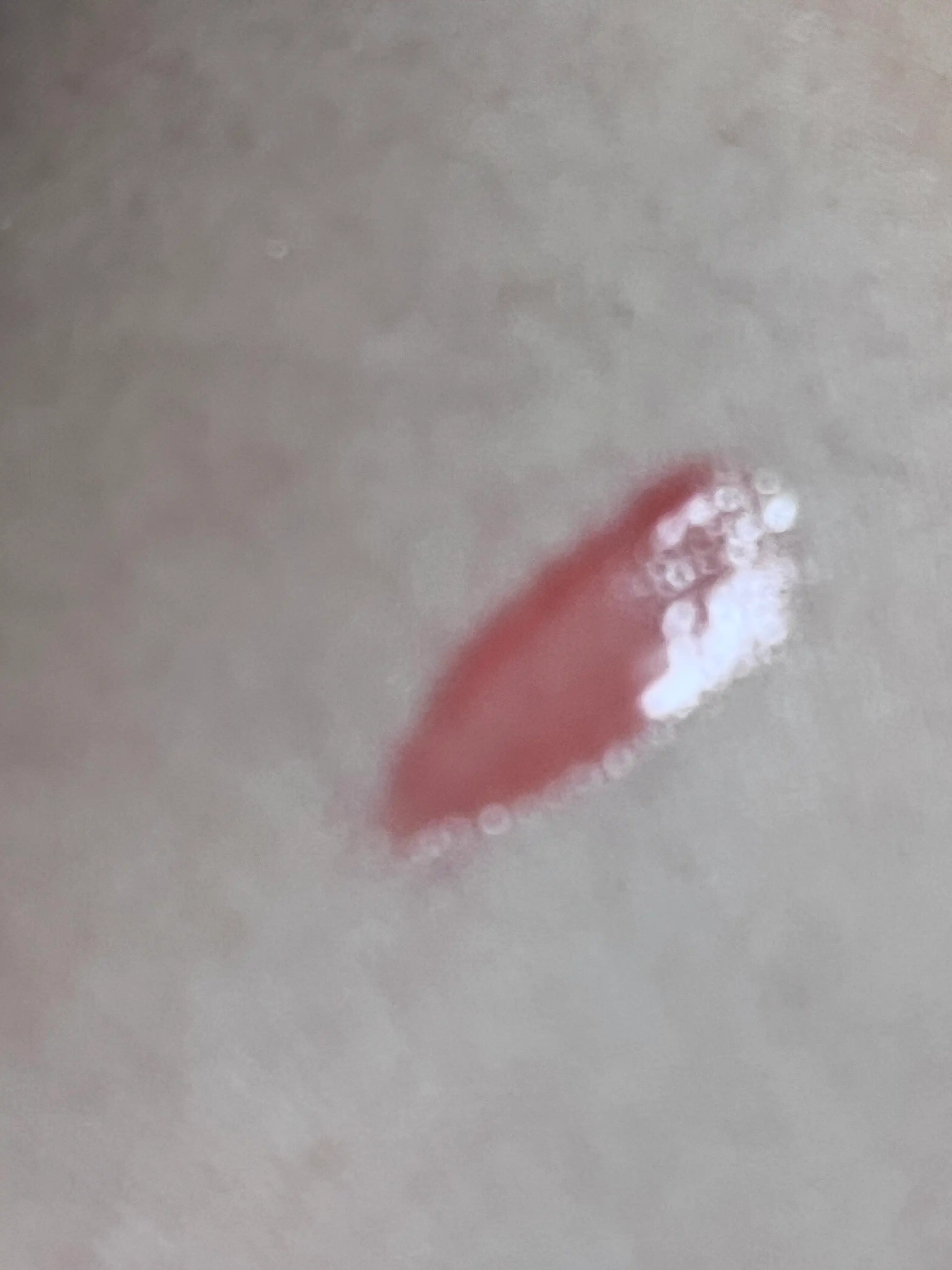 언니의파우치 리뷰 이미지 2 - [(릴리스카우트 컬렉션) 슈가 랩핑 틴트 글로스]