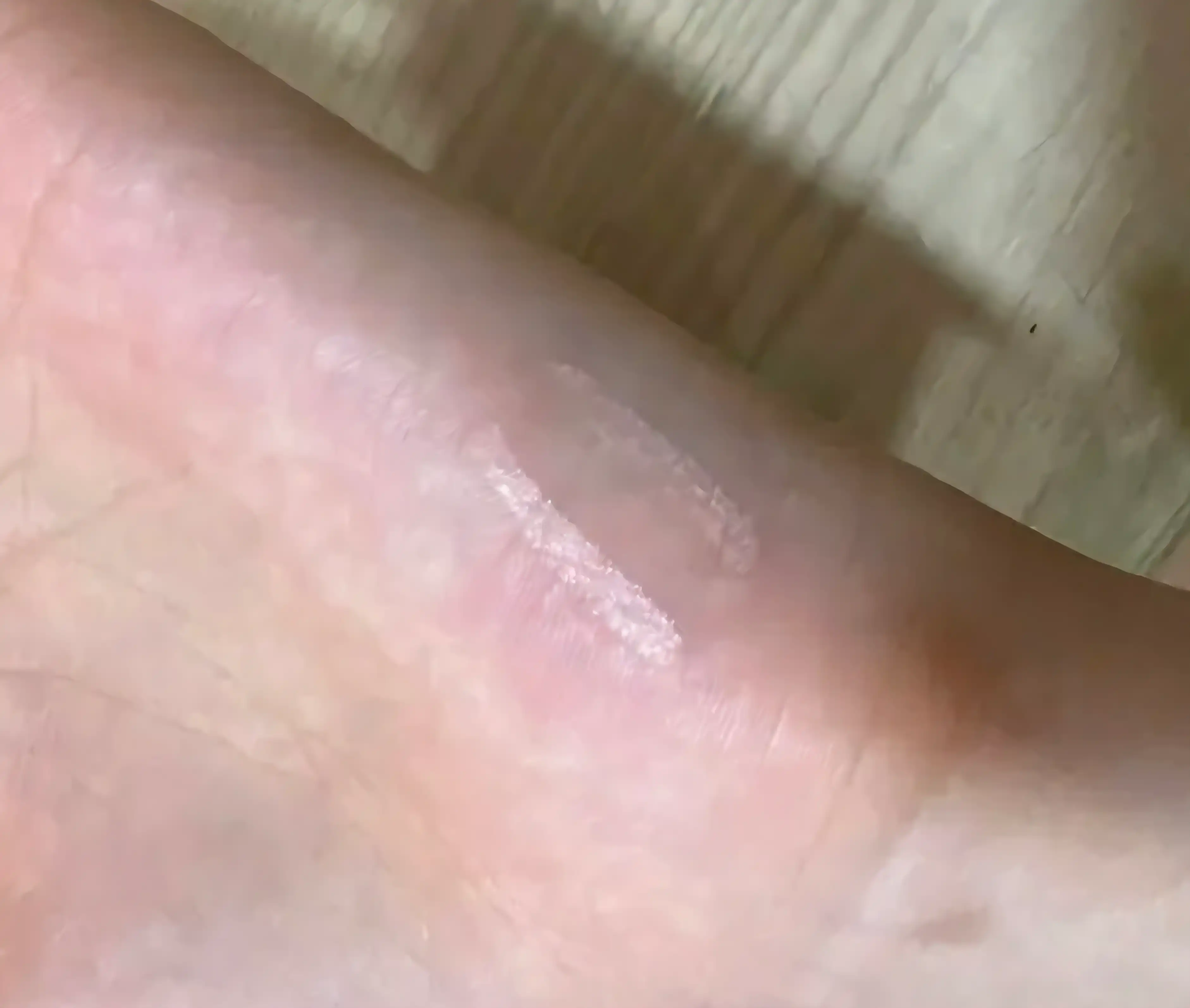 언니의파우치 리뷰 이미지 2 - [프로타주 펜슬]