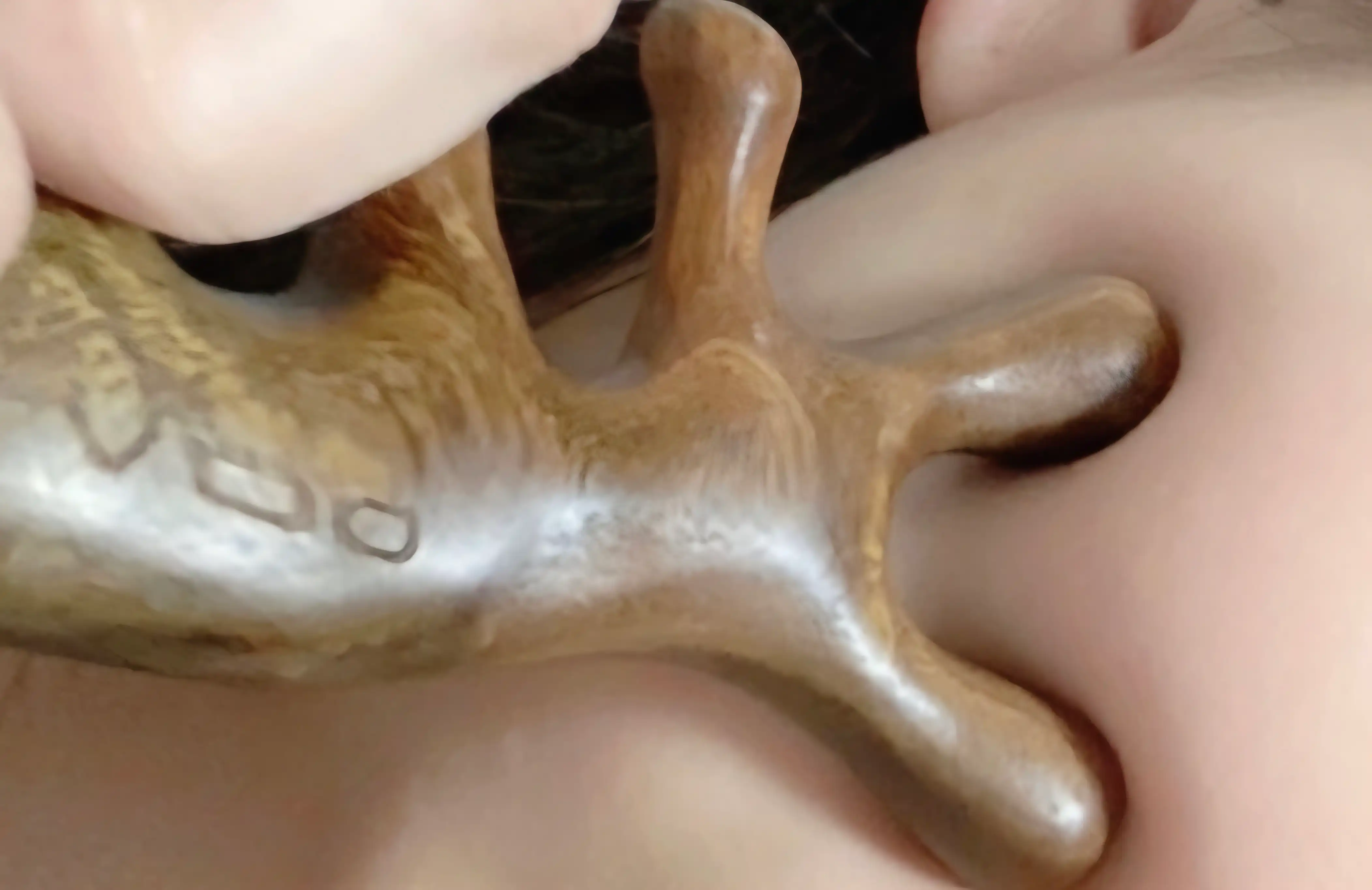 언니의파우치 리뷰 이미지 2 - [골든 샌달우드 괄사]