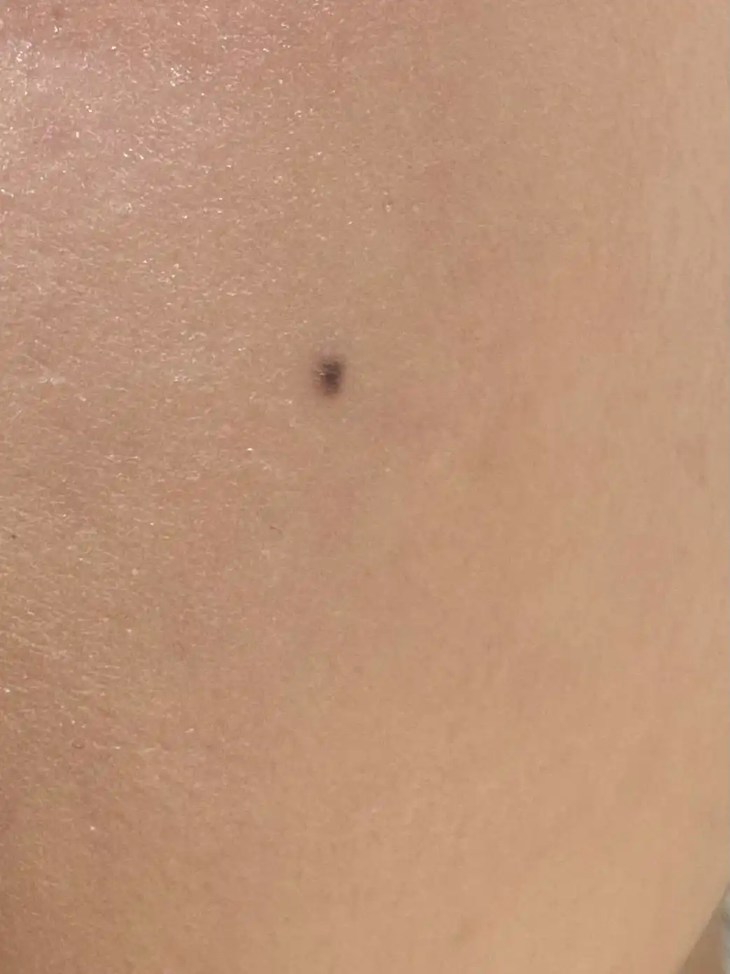 언니의파우치 리뷰 이미지 3 - [포에버 하이드라 글로우 메쉬 쿠션]