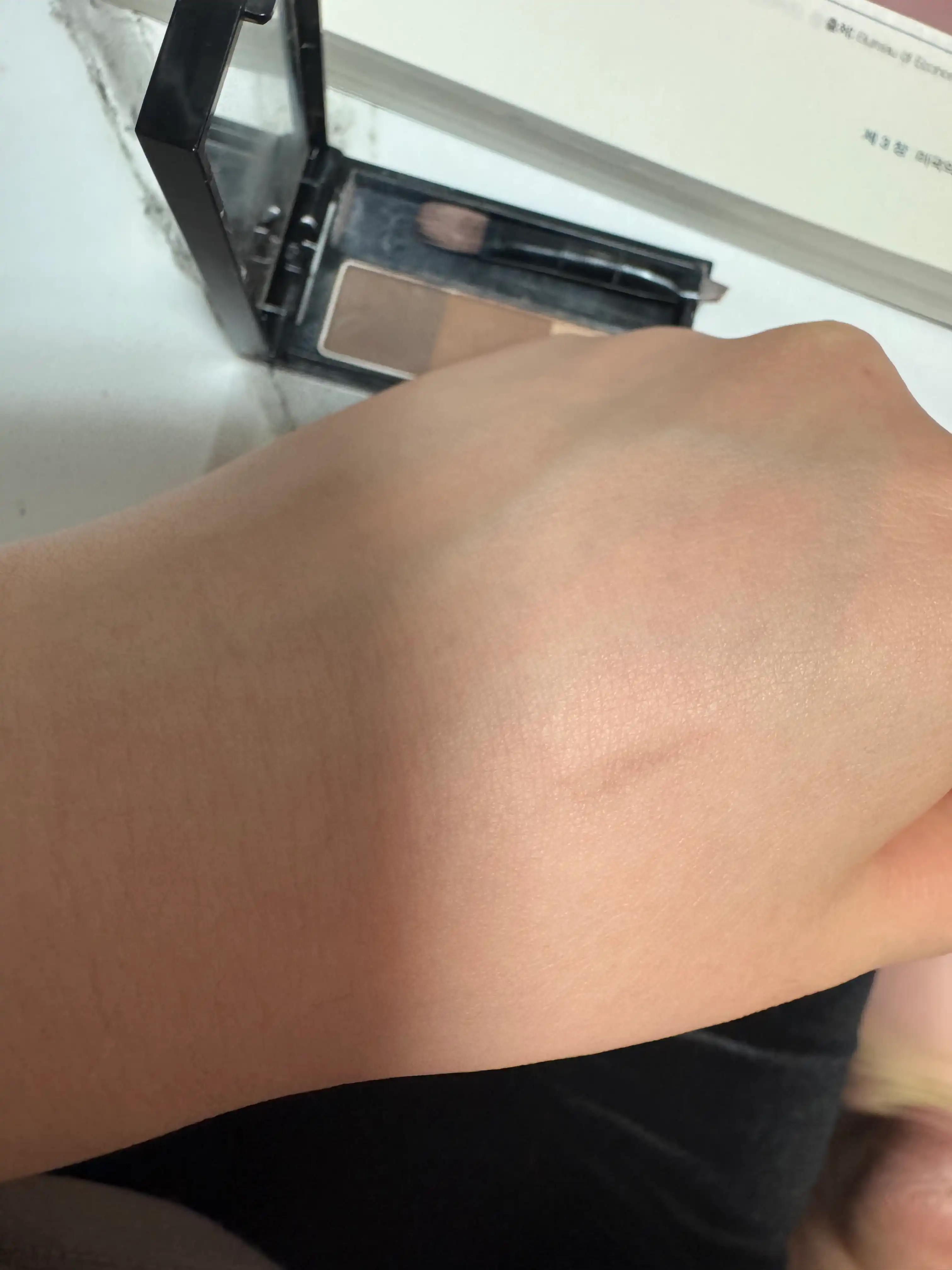 언니의파우치 리뷰 이미지 3 - [디자이닝 아이브로우 3D 브로우 앤 쉐딩]