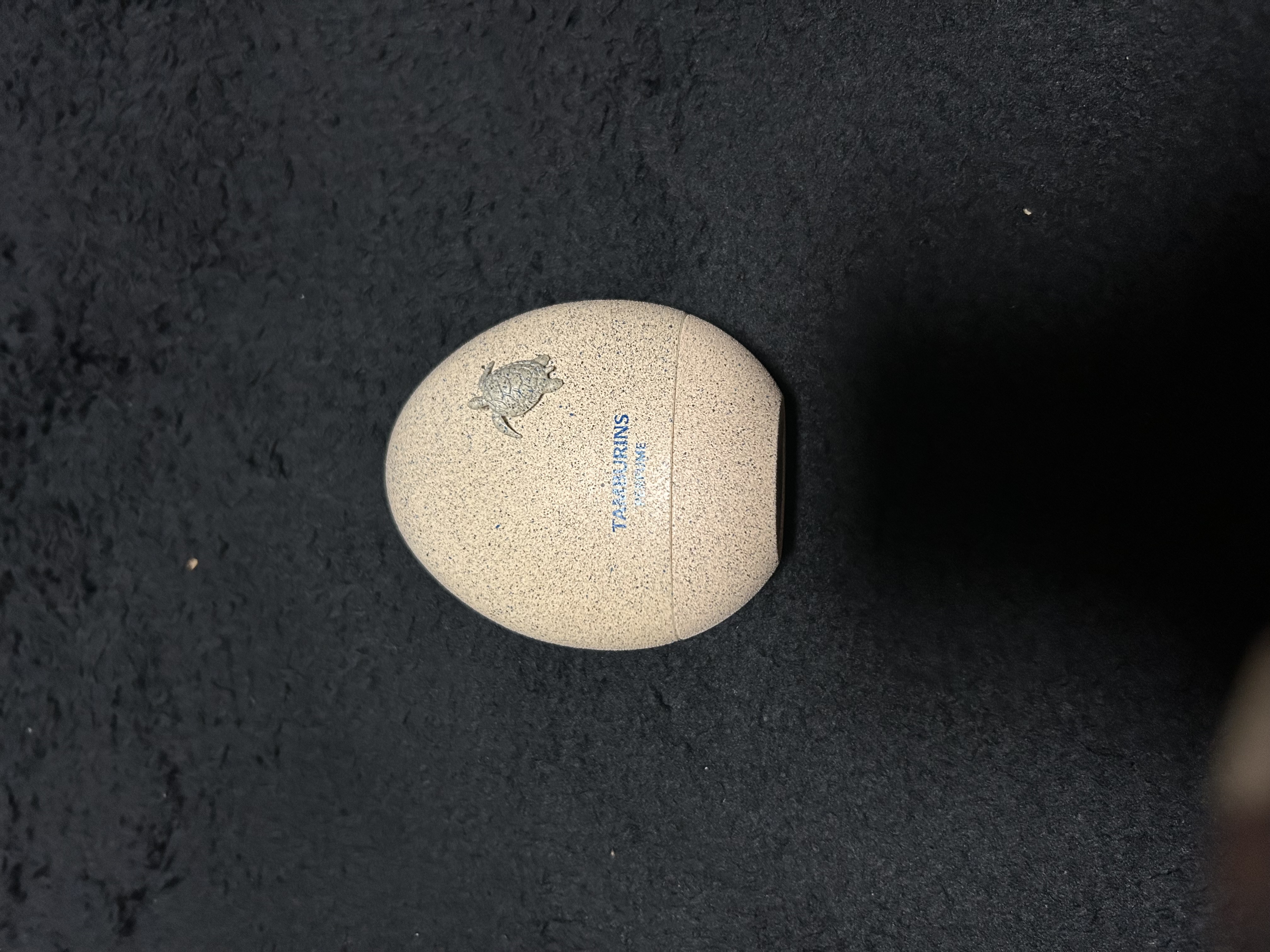 선택된 언니의파우치 리뷰 이미지 - [에그 퍼퓸 블루히노키]