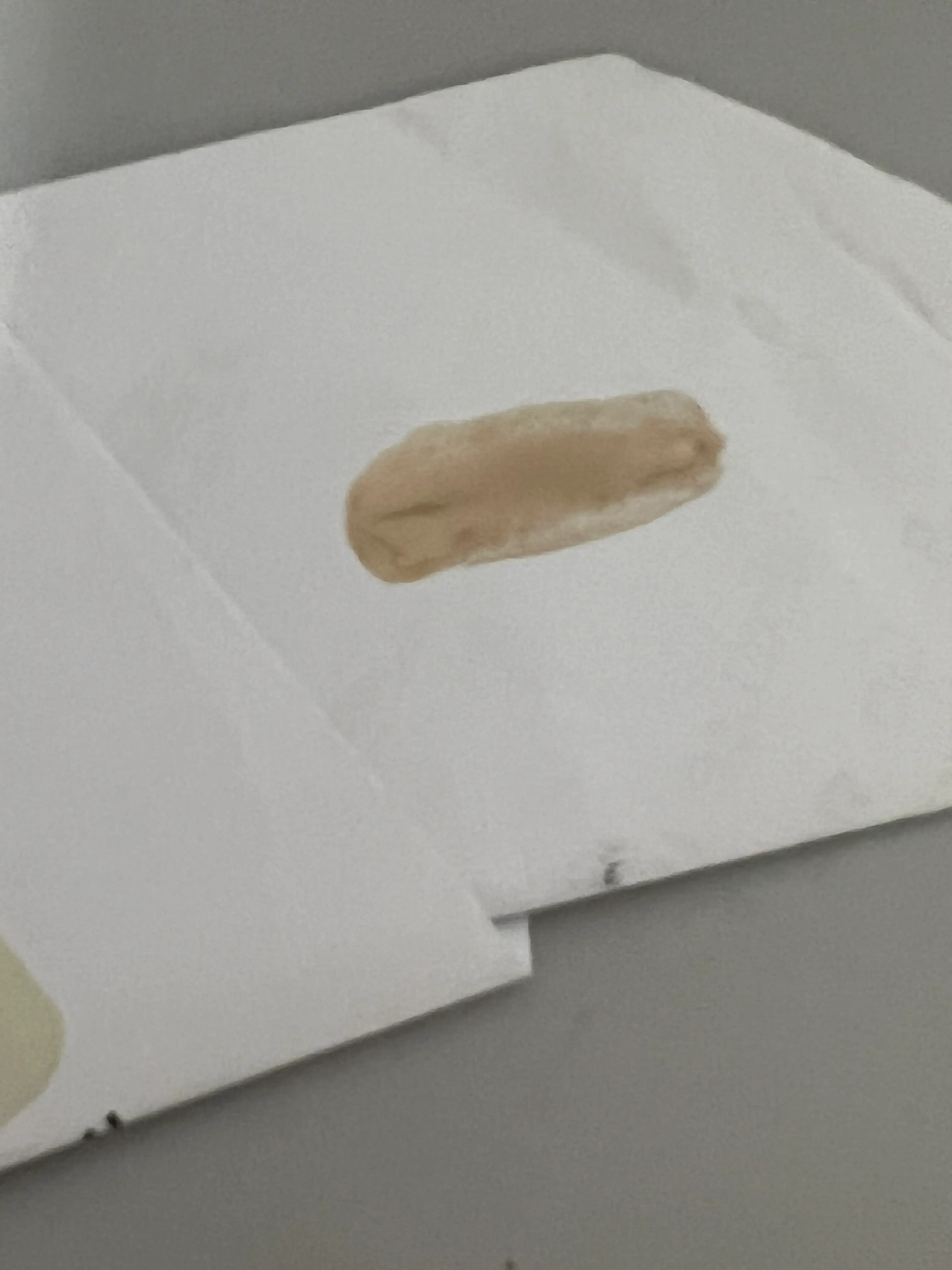 선택된 언니의파우치 리뷰 이미지 - [링링 누디 네일]