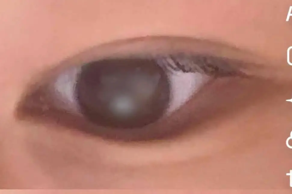 선택된 언니의파우치 리뷰 이미지 - [2X 쌩얼라이너 [02 내추럴 라이트 브라운]]