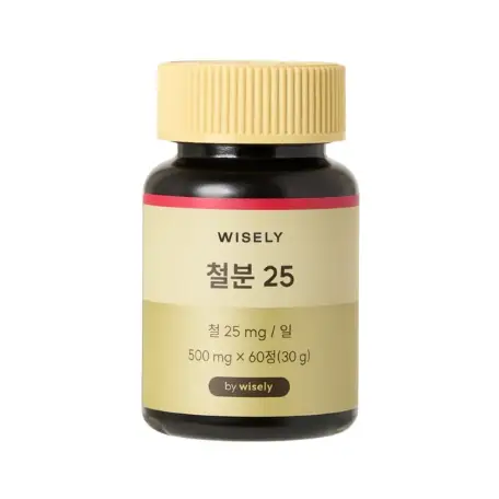 철분 25