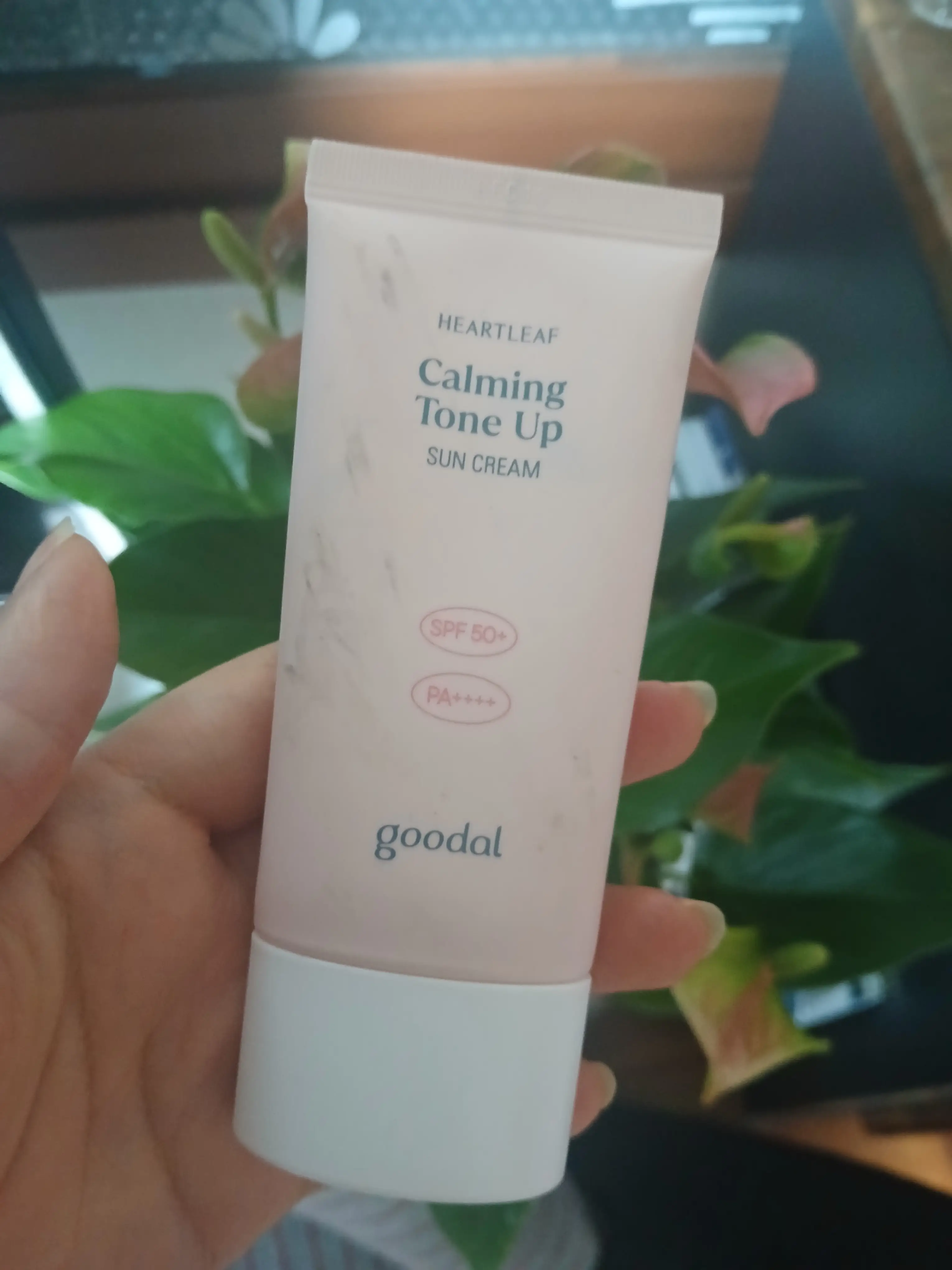 선택된 언니의파우치 리뷰 이미지 - [맑은 어성초 진정 수분 톤업 선크림]