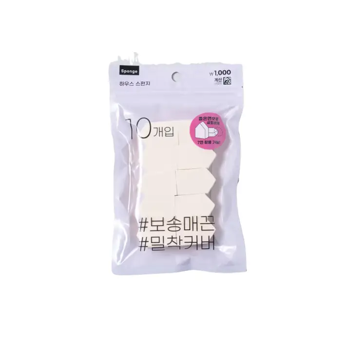 하우스 스펀지