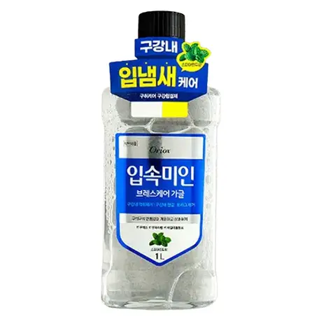 입속미인 브레스 케어 가글 민트