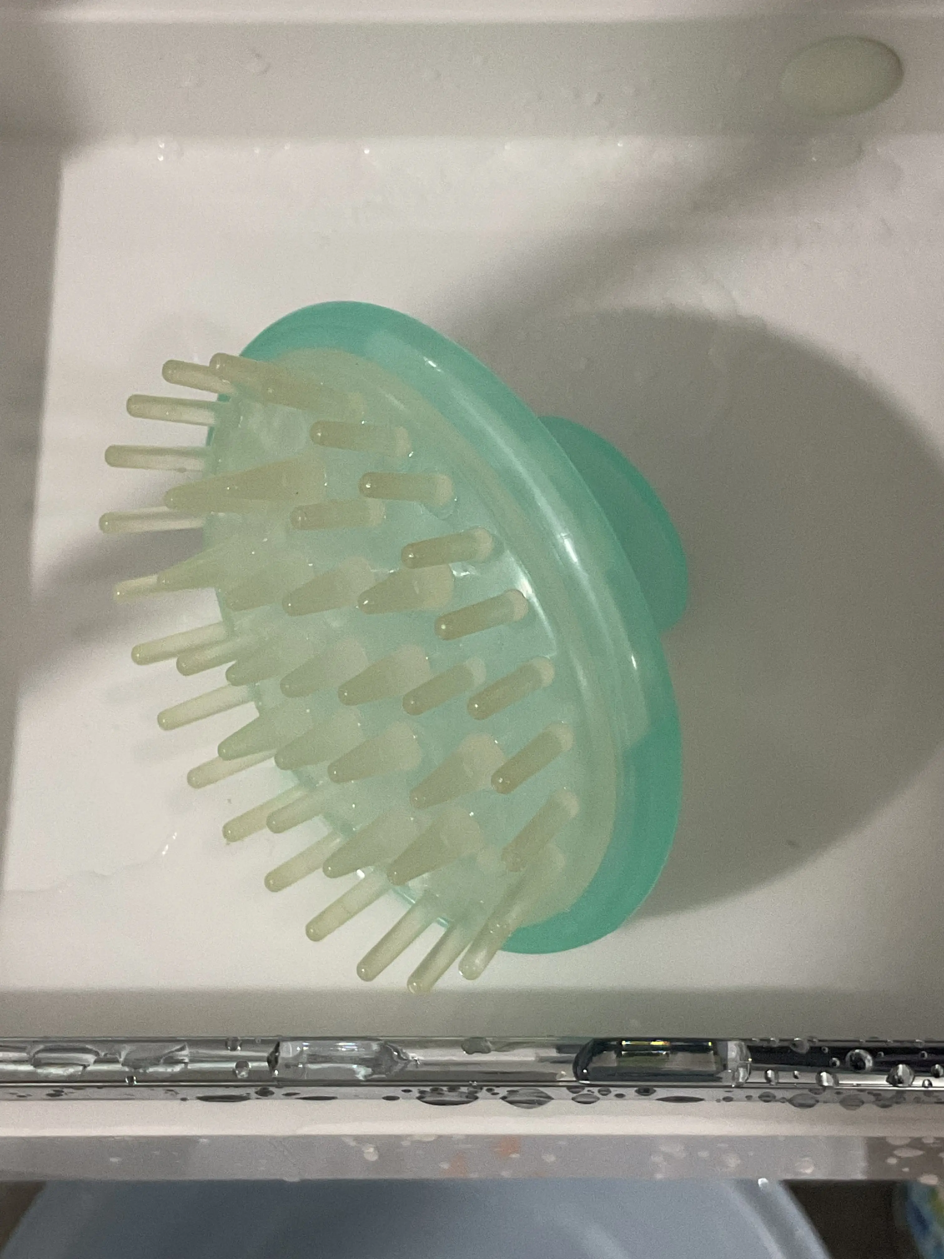 선택된 언니의파우치 리뷰 이미지 - [샴푸 브러쉬]