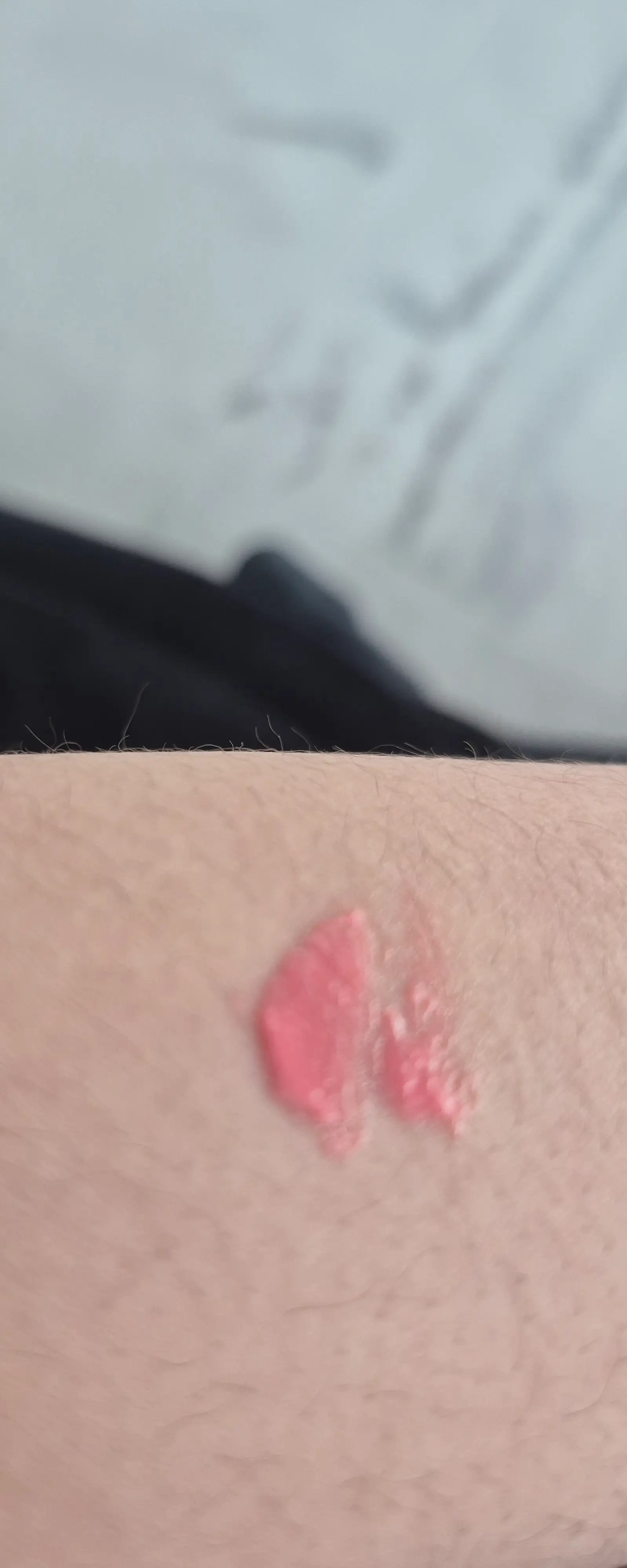 선택된 언니의파우치 리뷰 이미지 - [프루티 볼륨 립글로스]