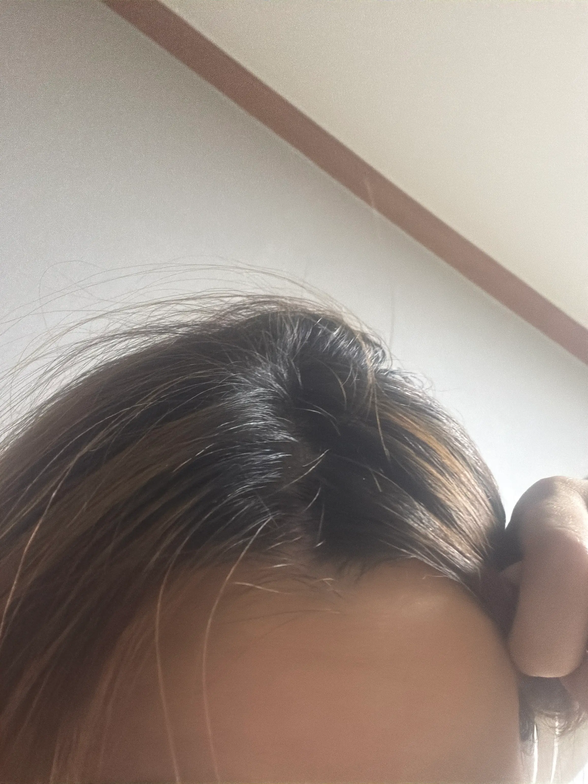 선택된 언니의파우치 리뷰 이미지 - [새치타투 자이언트 브러쉬]