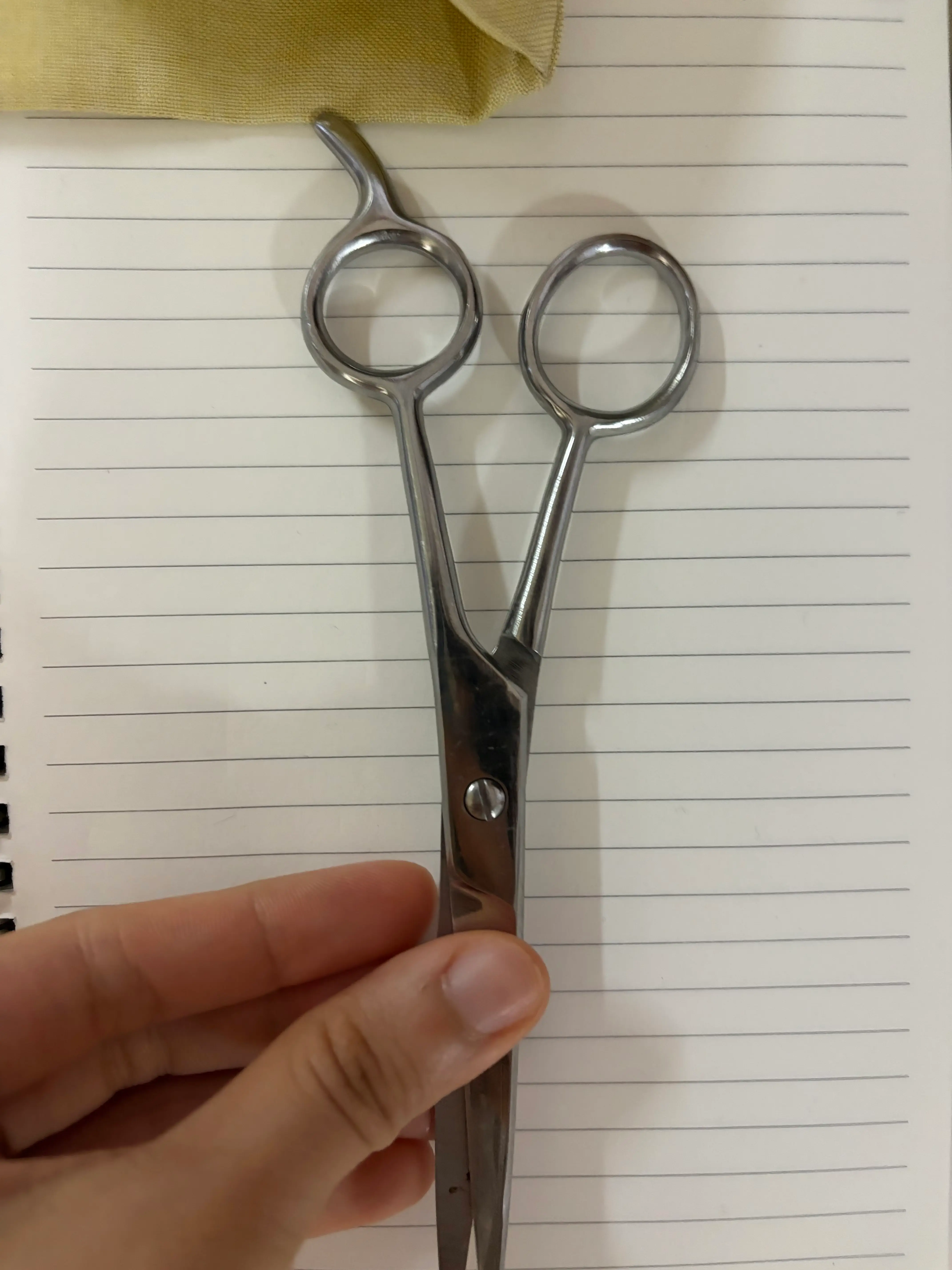 선택된 언니의파우치 리뷰 이미지 - [고급스텐미용가위]